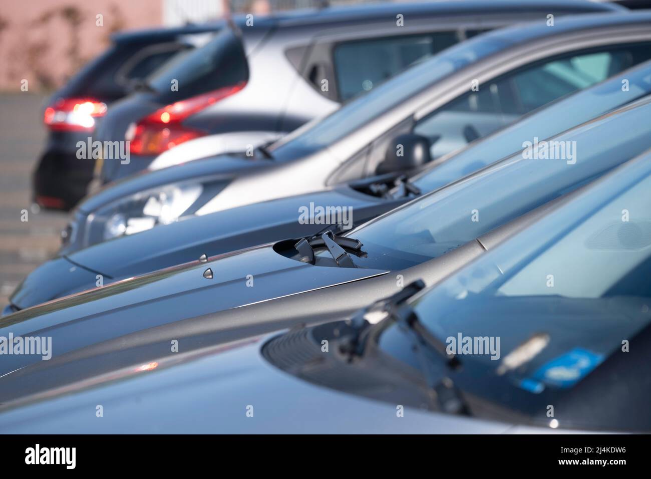Many cars parked next to each other in a row in a parking lot. Focus on