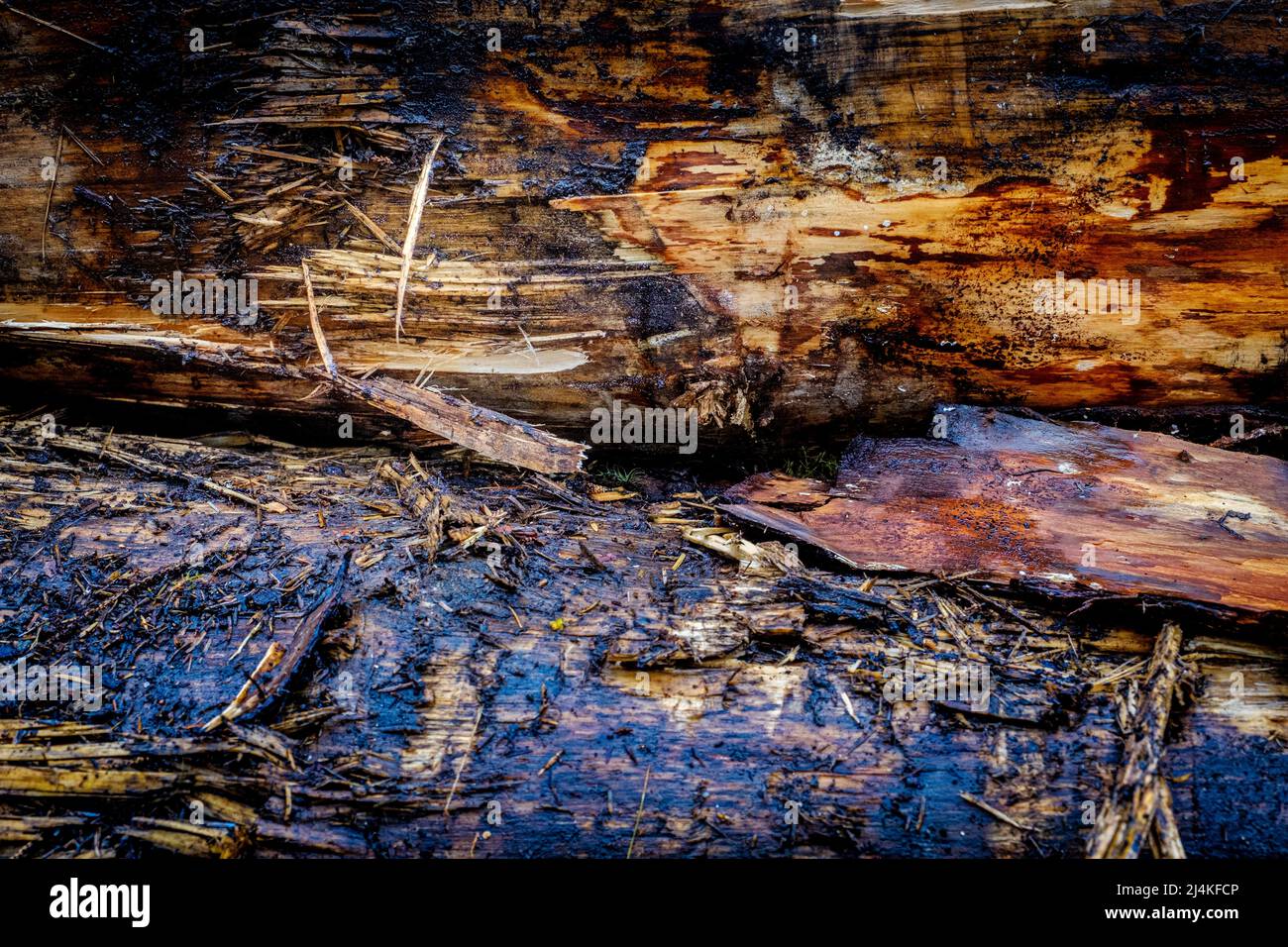 Abstract image of logs Stock Photo