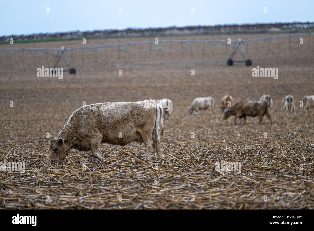 Moses lake hires stock photography and images Alamy
