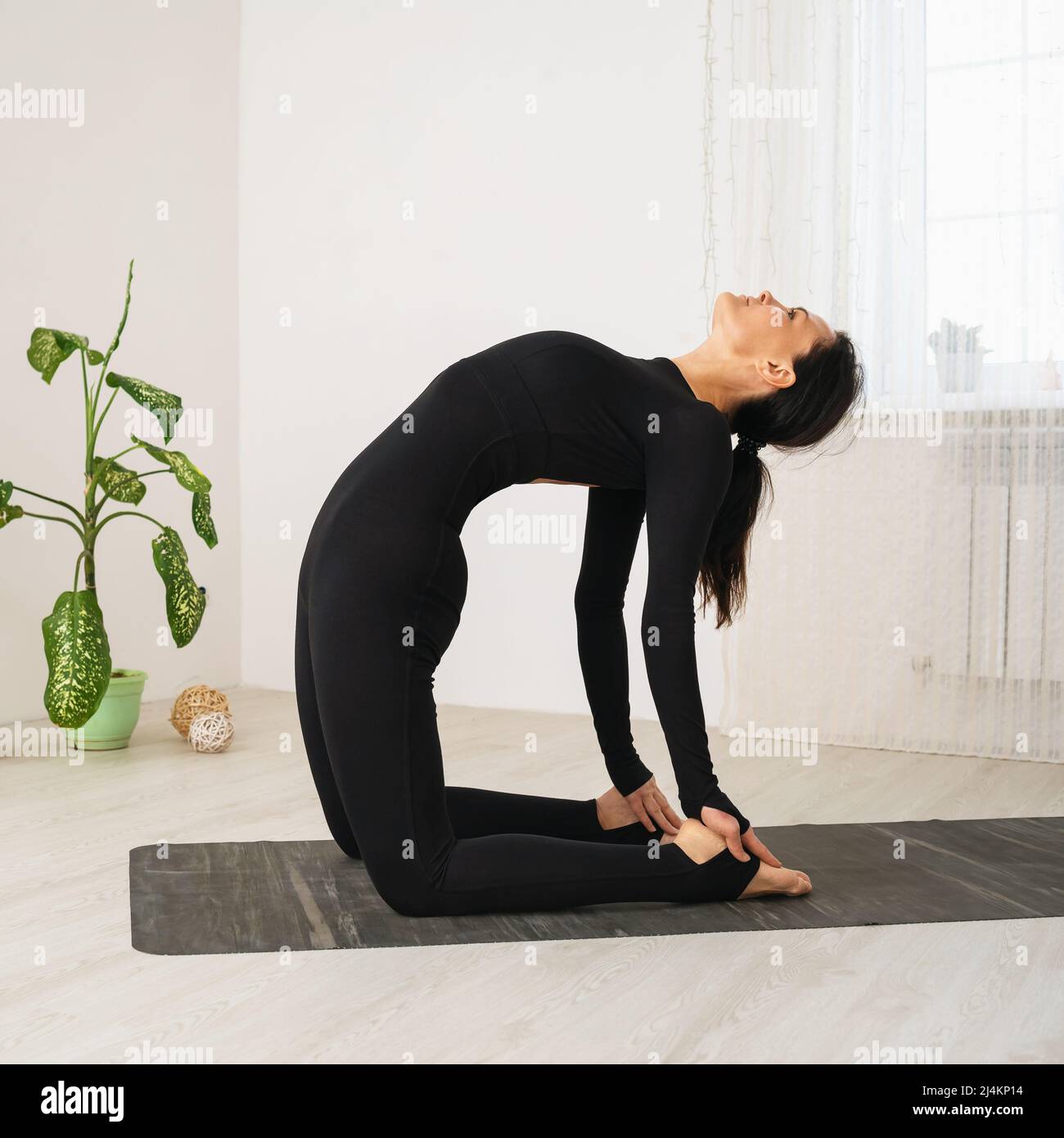 A woman in black sportswear practicing yoga doing the Ushtrasana exercise,  camel pose, exercising on a mat in a room by the window Stock Photo - Alamy