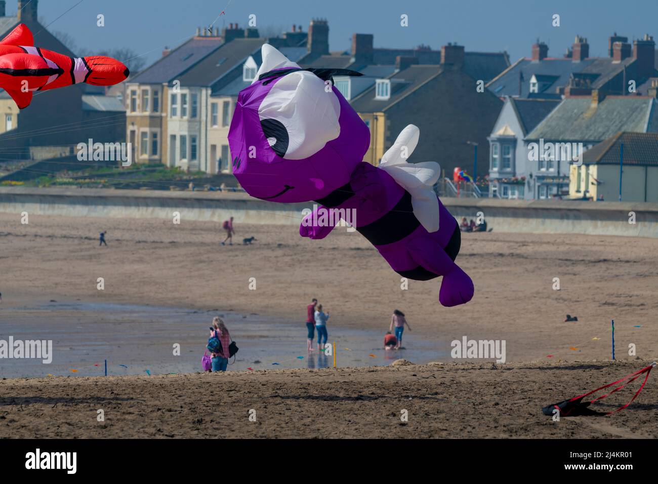 Newbiggin kite festival 2022 Stock Photo Alamy