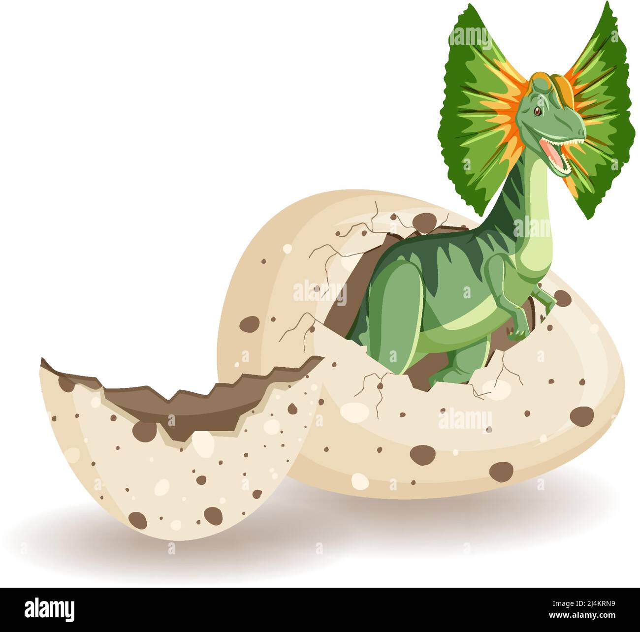 Dilophosaurus hatching from egg illustration Stock Vector Image & Art ...