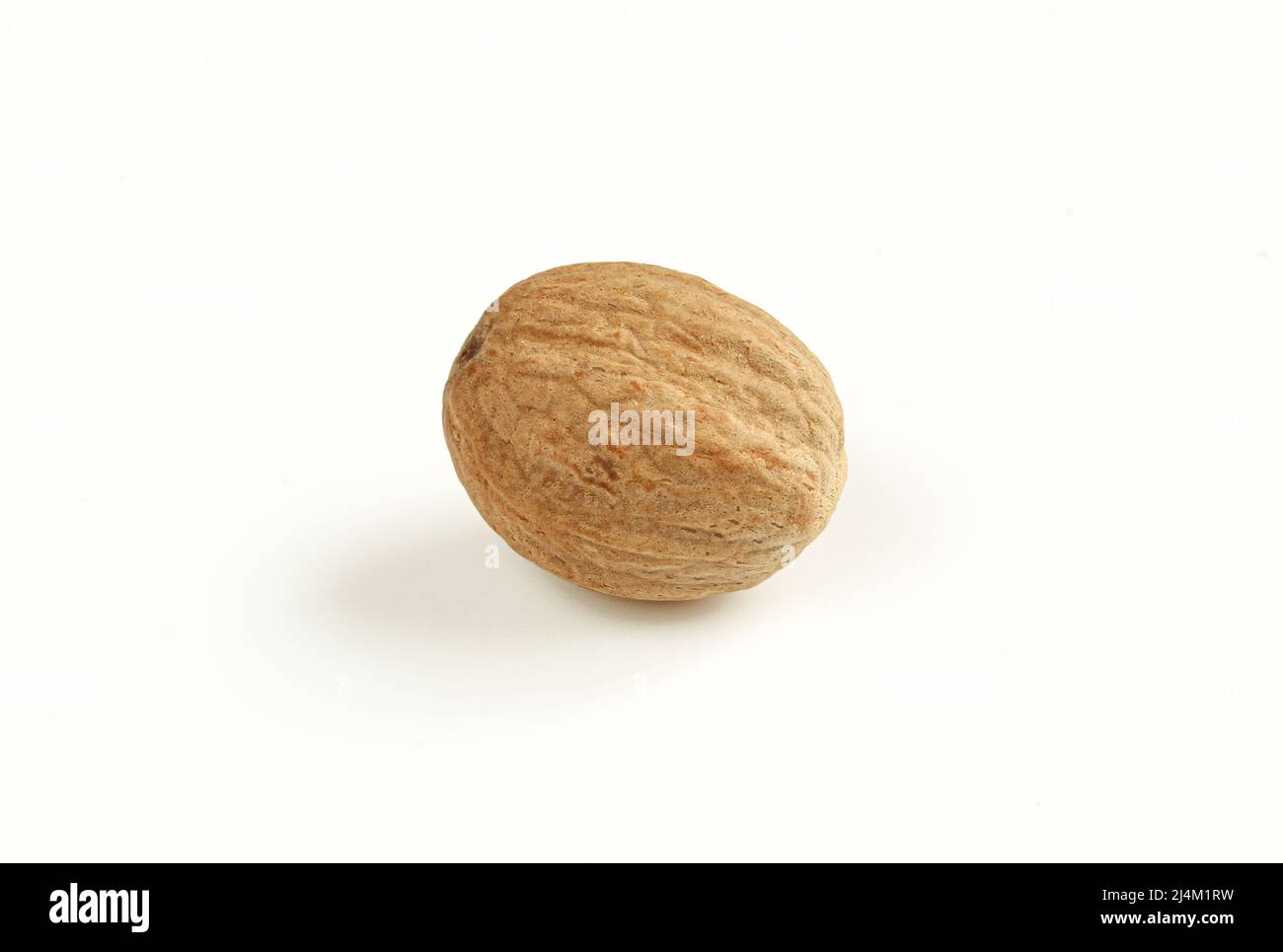 Single nutmeg kernel isolated on white background Stock Photo