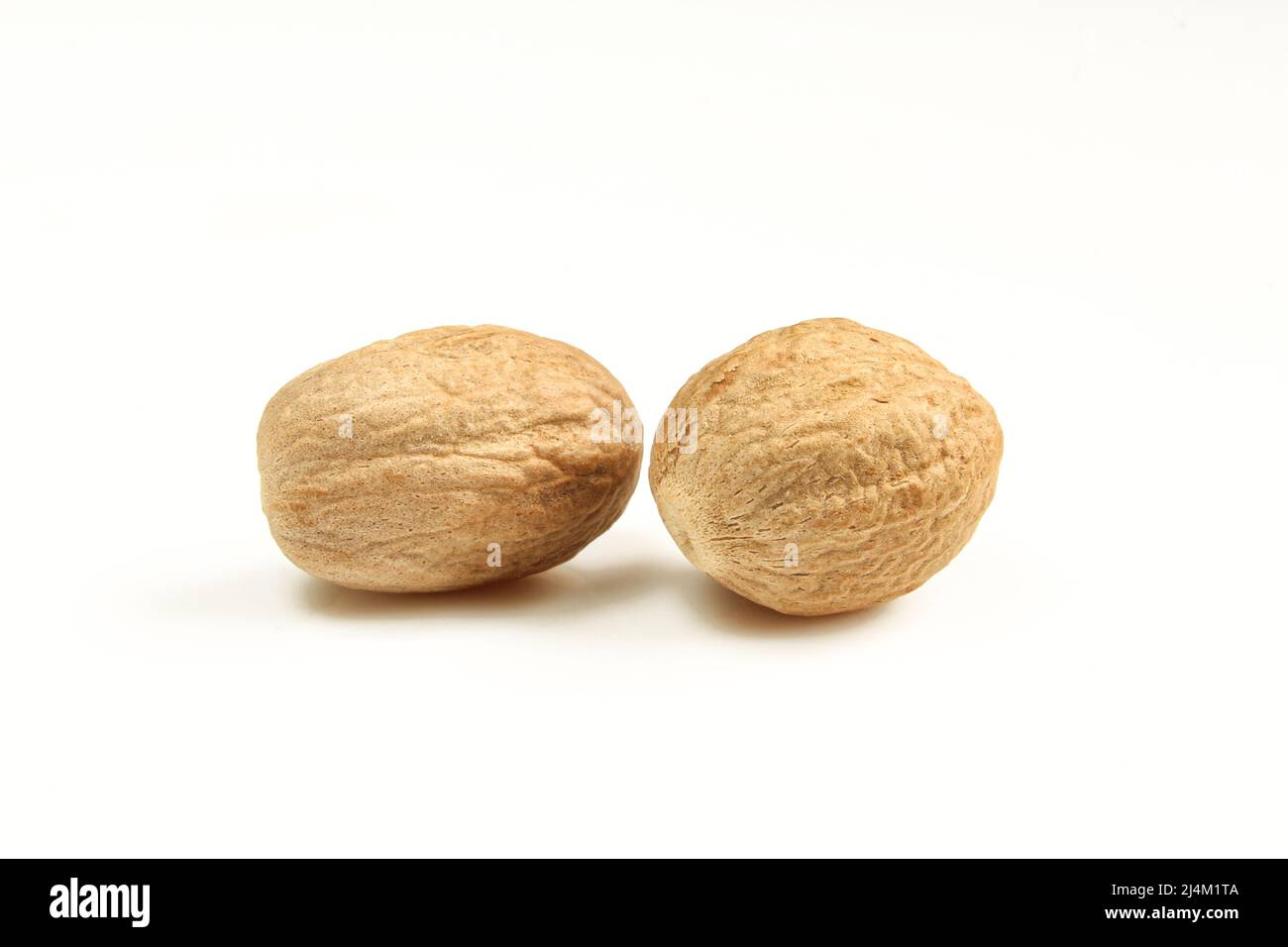 Two brown nutmegs isolated on white background. Muscat Stock Photo