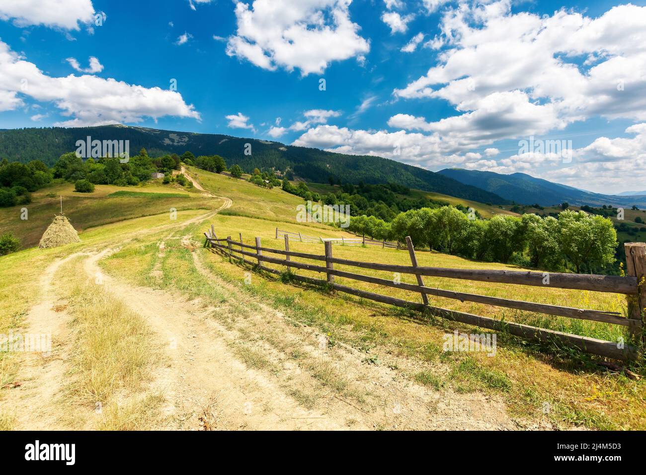 rural road through grassy meadows. wonderful countryside landscape with