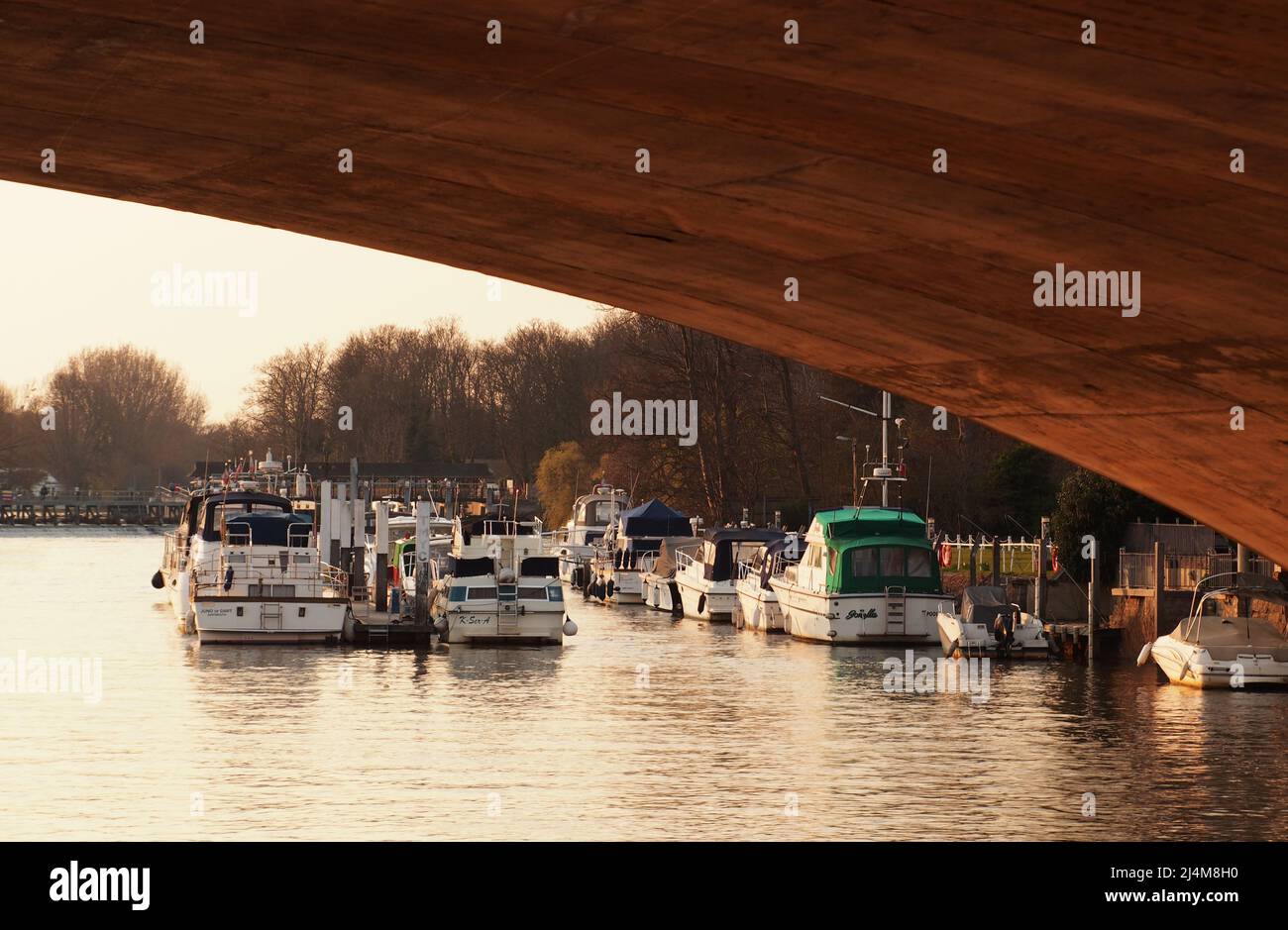 Rows of small pleasure craft moored near Hampton Court bridge on the River Thames in late afternoon, spring sunshine Stock Photo
