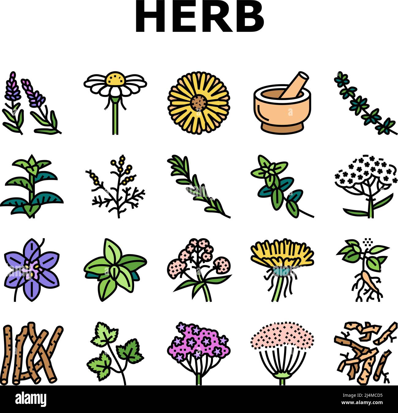Medical Herb Natural Ingredient Icons Set Vector Stock Vector Image ...