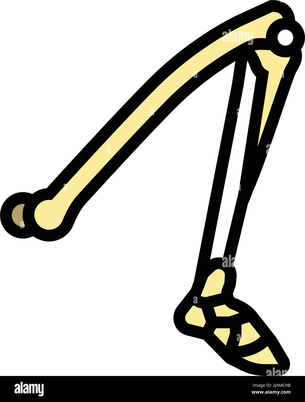 leg bone color icon vector illustration Stock Vector