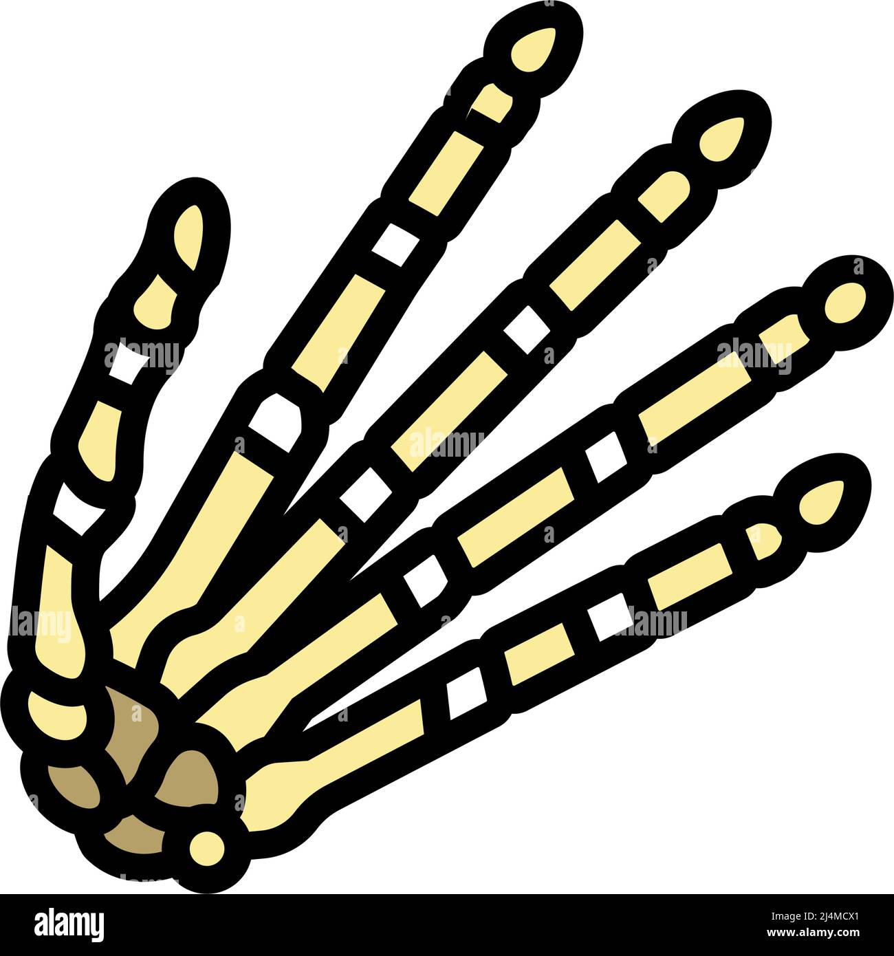 hand bone color icon vector illustration Stock Vector