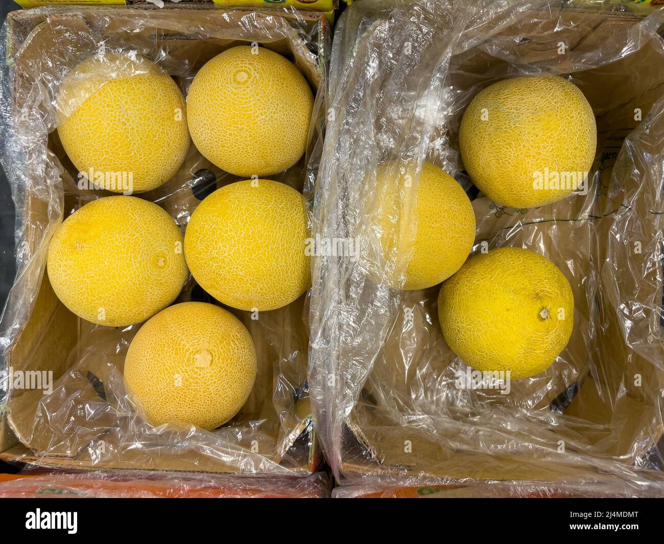 Healthy Galia melon on display in a retail store Stock Photo Alamy