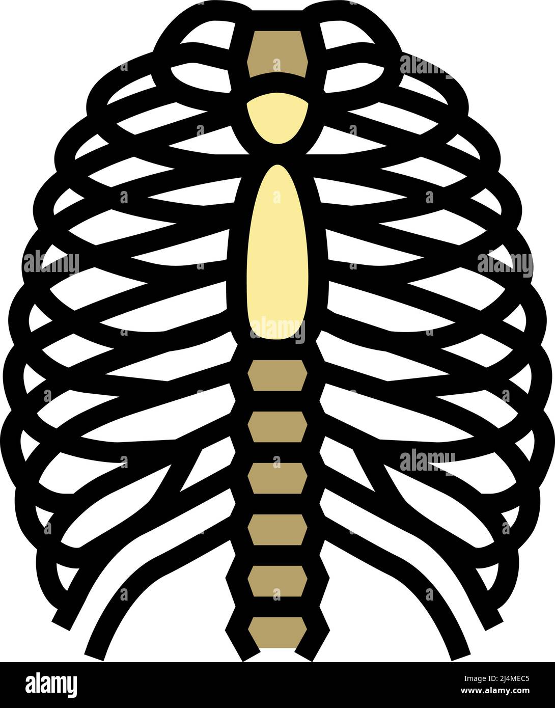 chest bone color icon vector illustration Stock Vector