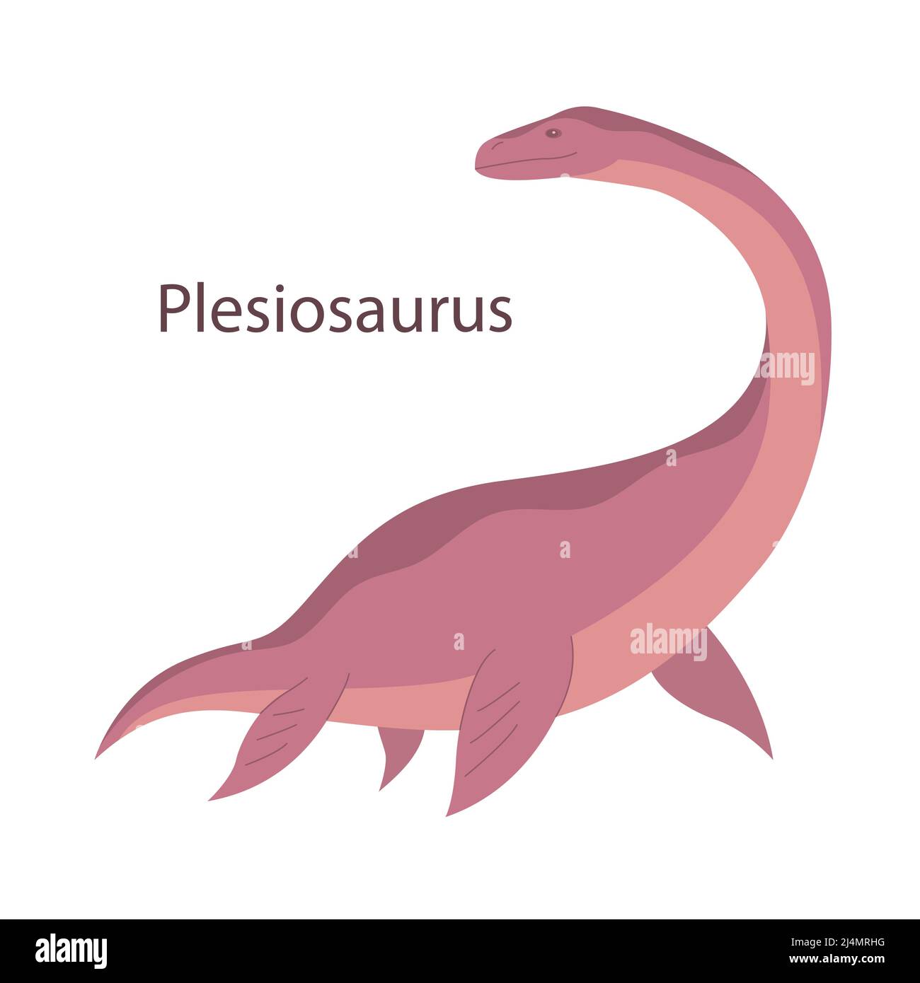 Prehistoric underwater dinosaur plesiosaurus with fins. Predatory sea lizard. Long neck. Scary jaws with teeth. Wildlife of the Jurassic period. Vecto Stock Vector