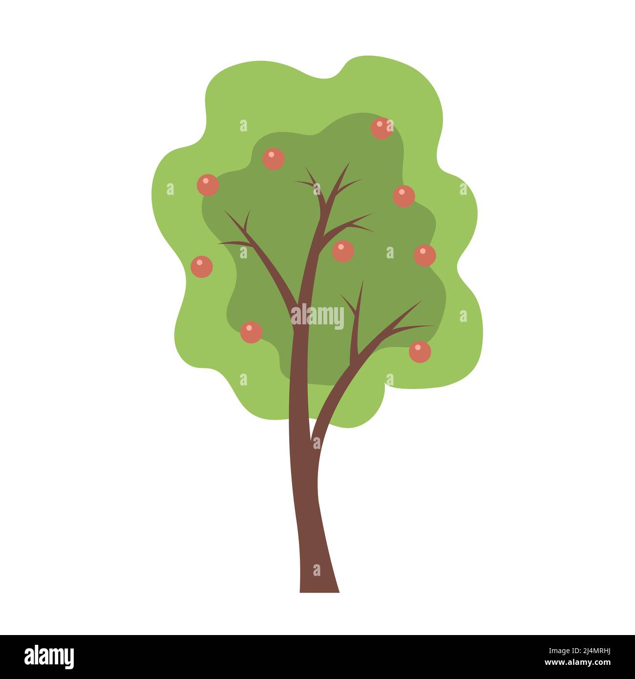 Apple tree with fruits. Harvest season. Template element for design and decoration. Flat vector illustration isolated on white background Stock Vector