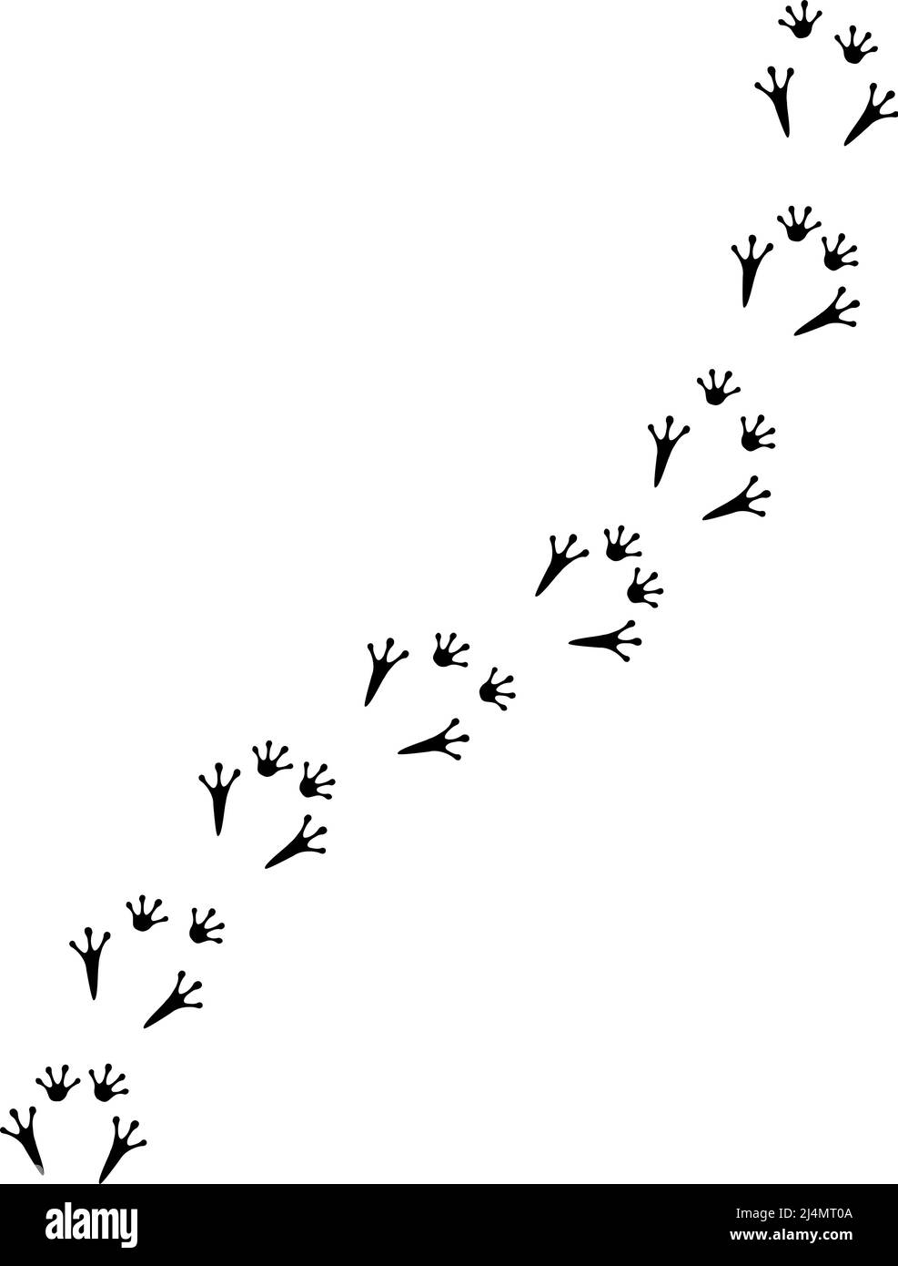 Frog footprints hi-res stock photography and images - Alamy
