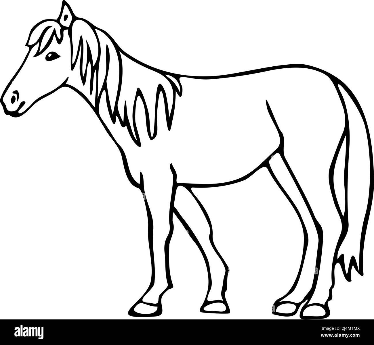 Vector illustration of hand drawn horse. Black and white horse Stock