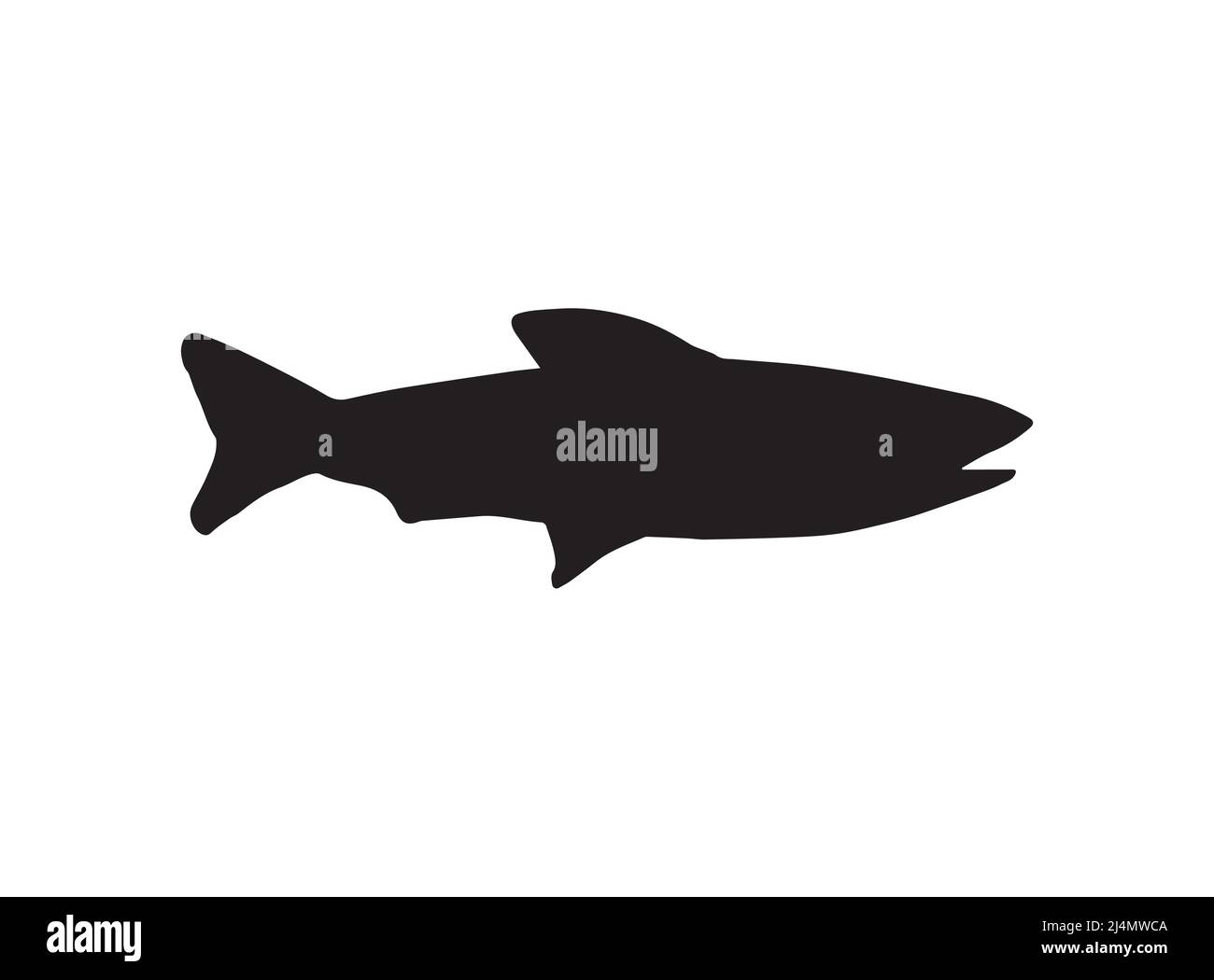 Vector black fish silhouette isolated on white background Stock Vector ...