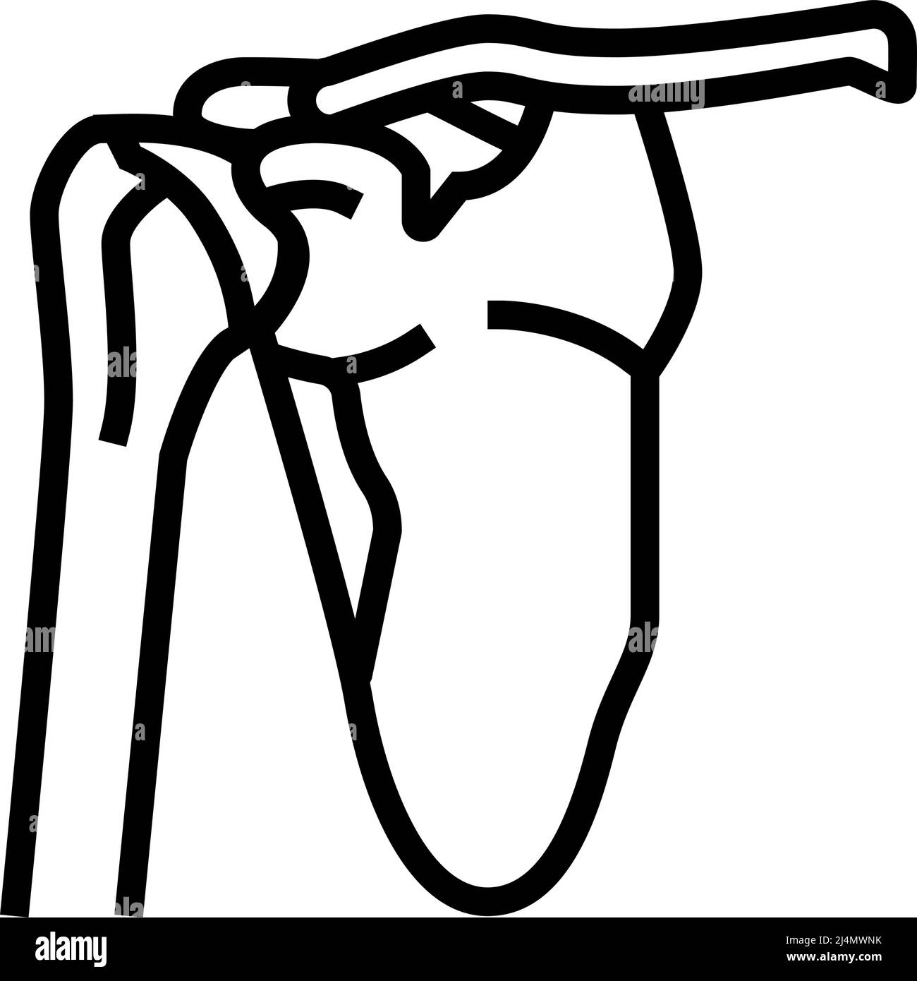 shoulder bone line icon vector illustration Stock Vector Image & Art ...