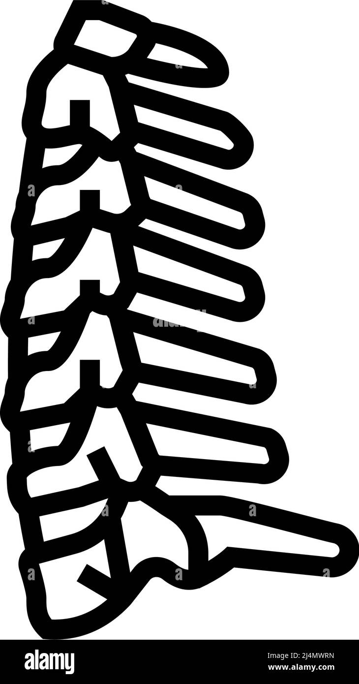 neck bone line icon vector illustration Stock Vector