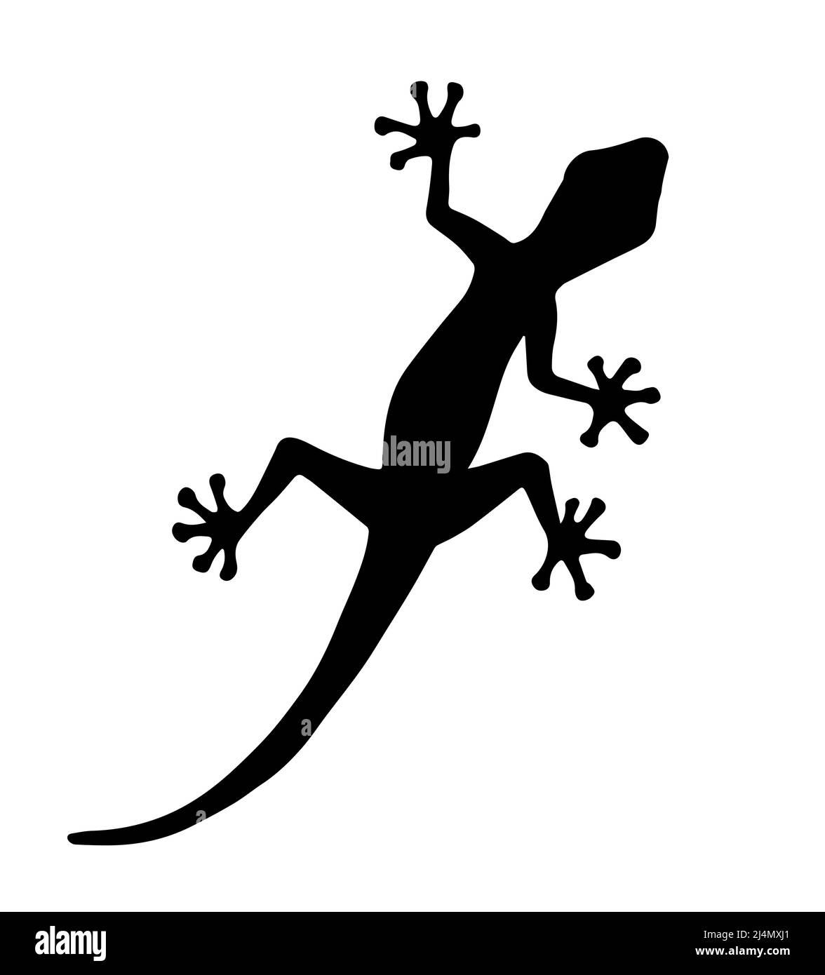 Vector black gecko lizard silhouette isolated on white background Stock Vector