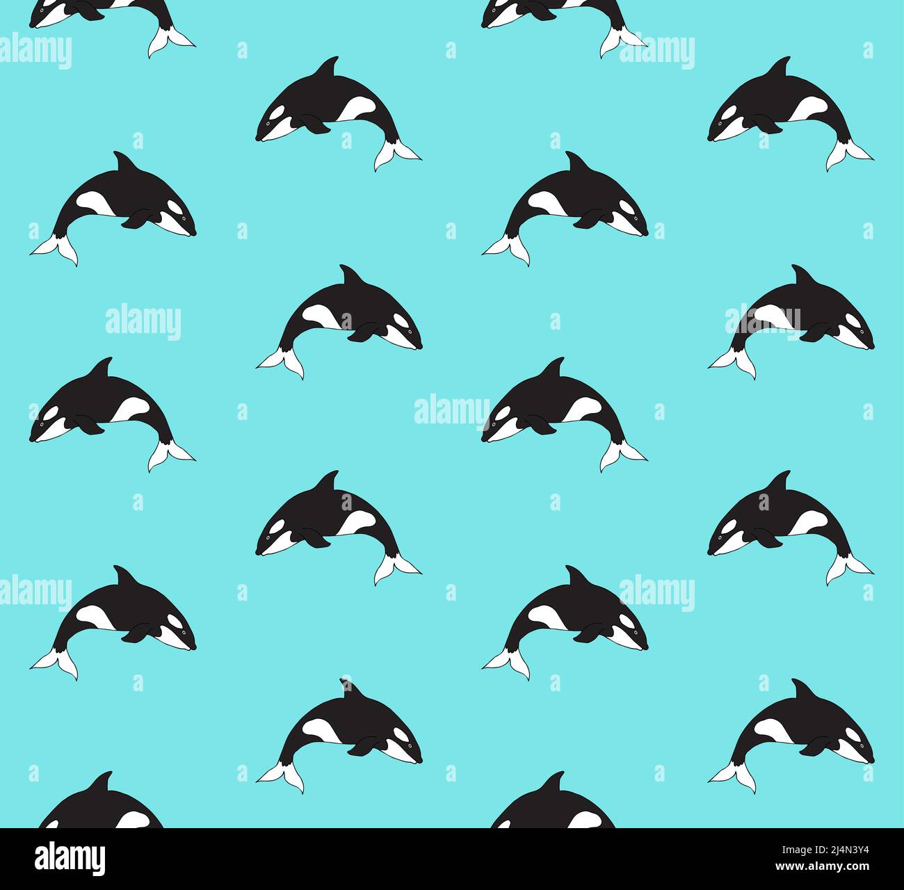 Vector seamless pattern of hand drawn doodle sketch killer whale ...