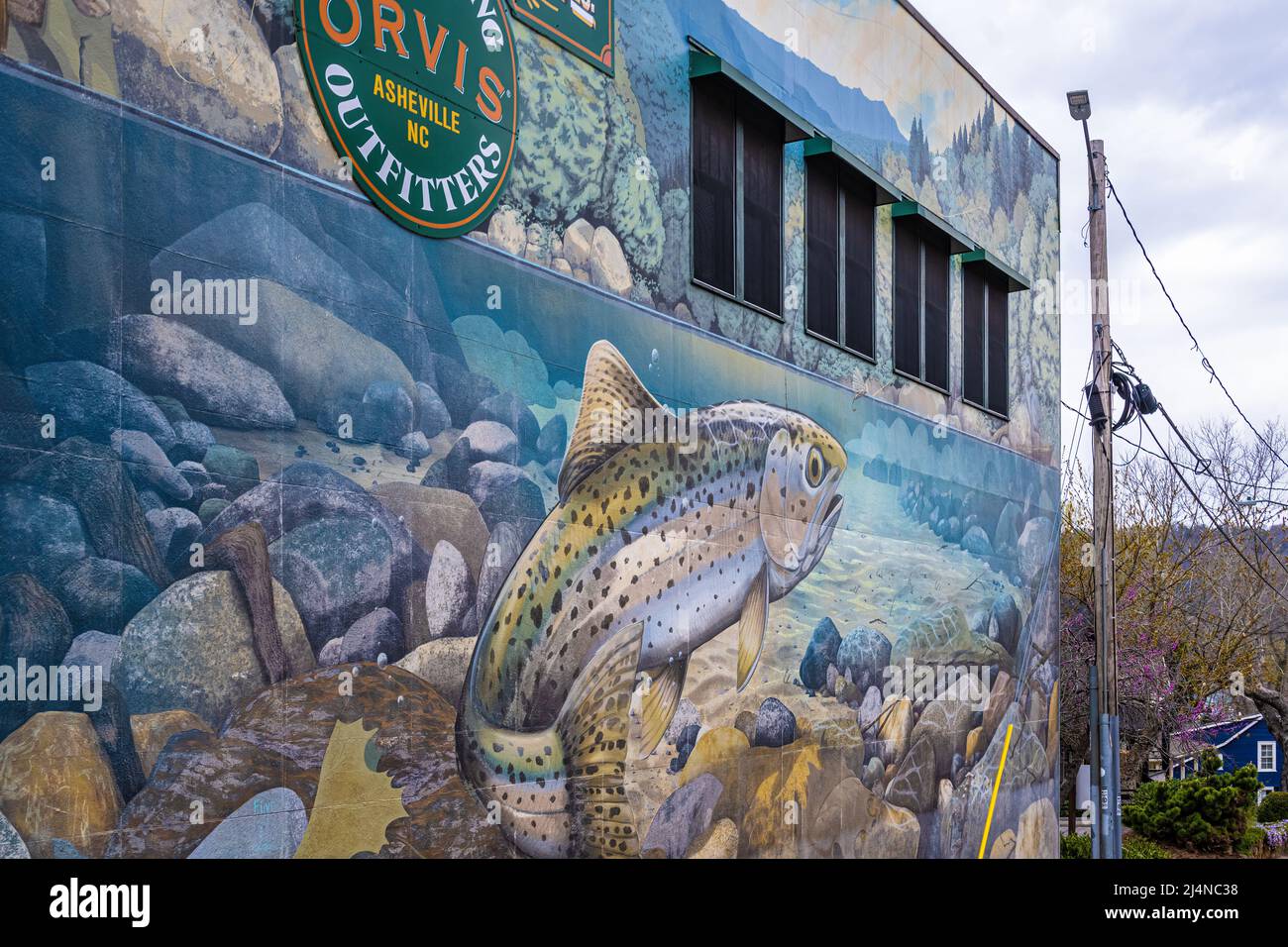 Fly fishing wall mural featuring a rainbow trout at Hunter Banks Co., an Orvis Fly Fishing Outfitter, in Asheville, North Carolina. (USA) Stock Photo