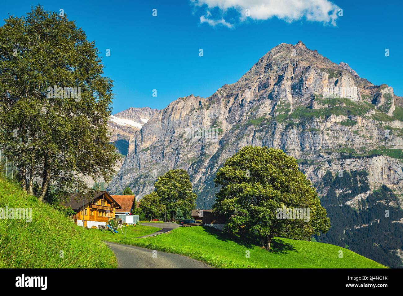 Wooden houses and green fields on the hill. Amazing view with high mountains, Grindelwald, Bernese Oberland, Switzerland, Europe Stock Photo