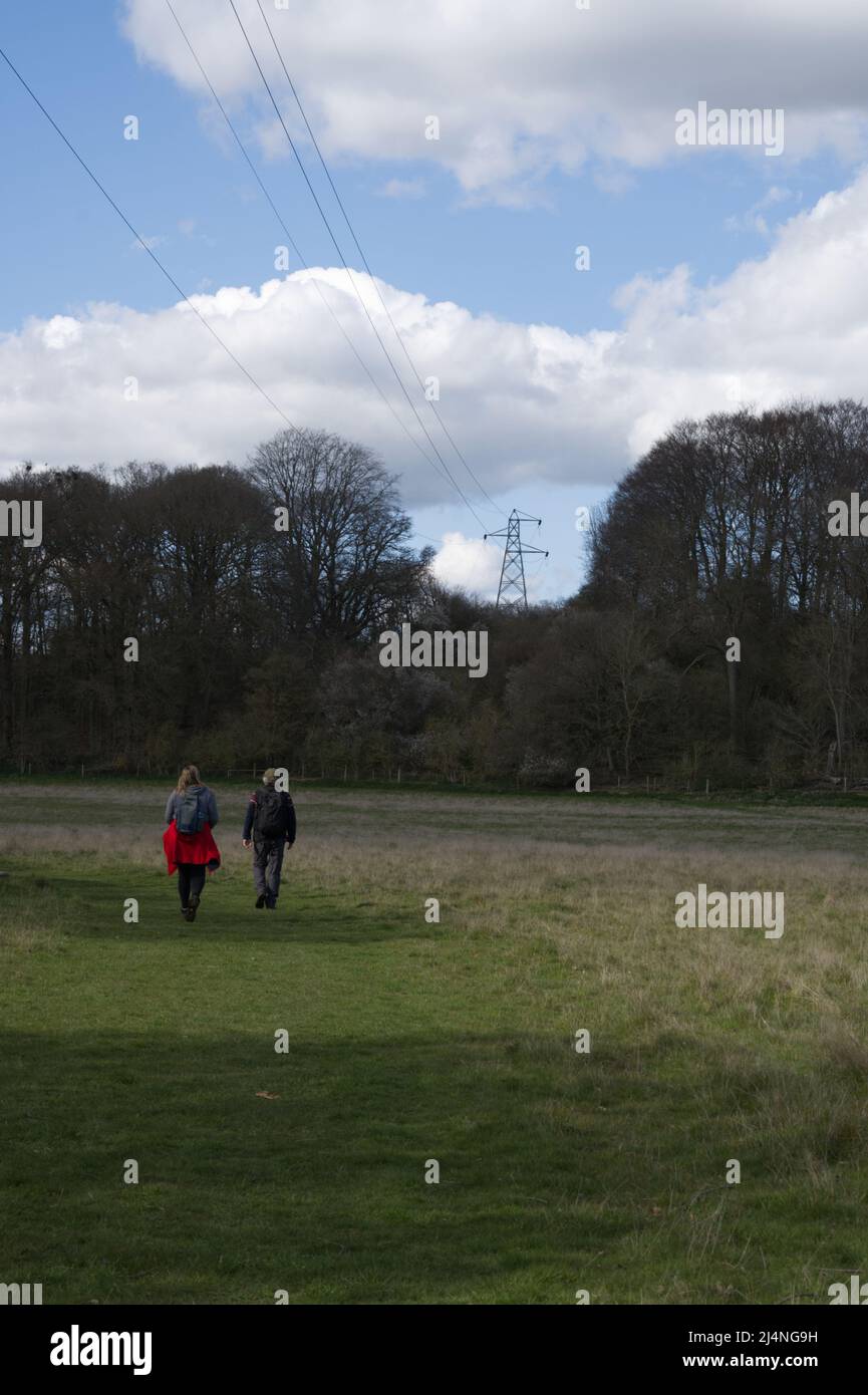 Two hikers walking across a field in the English countryside, with an electricity pylon in the distance Stock Photo