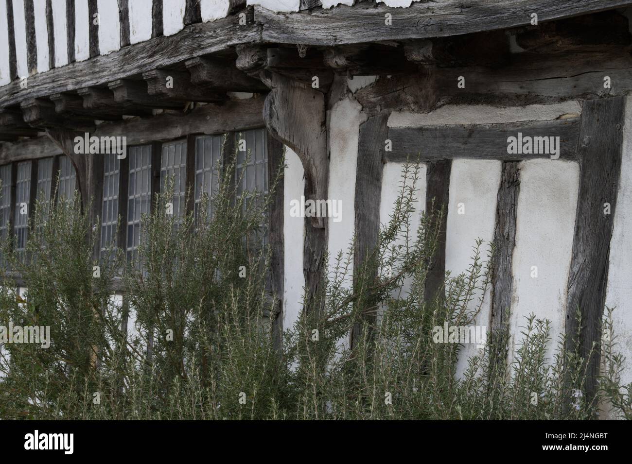 Exterior of an old, delapidated timber framed house Stock Photo