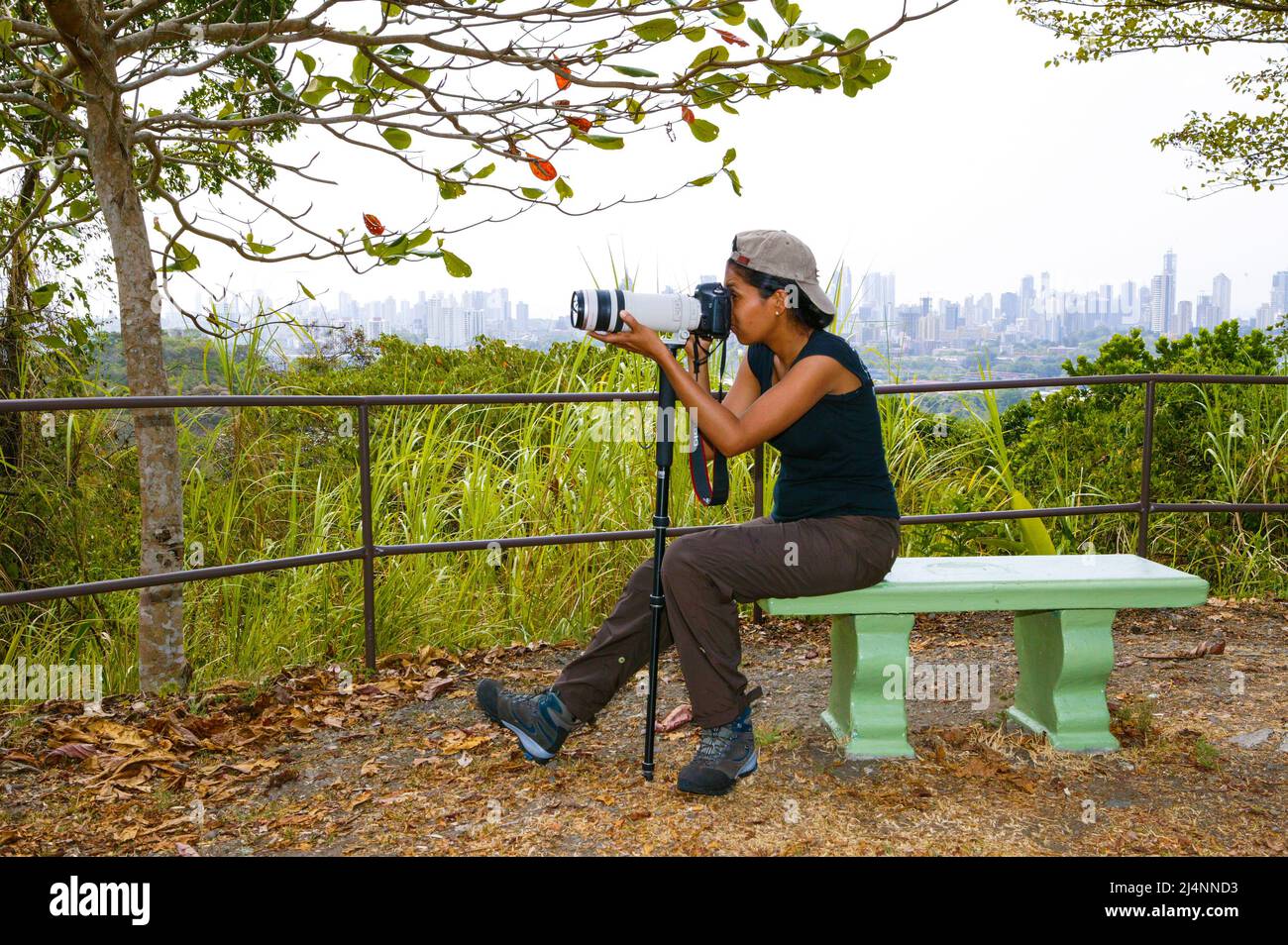 A tourist is taking pictures in Metropolitan park, Panama City, Panama province, Republic of Panama, Central America. Stock Photo