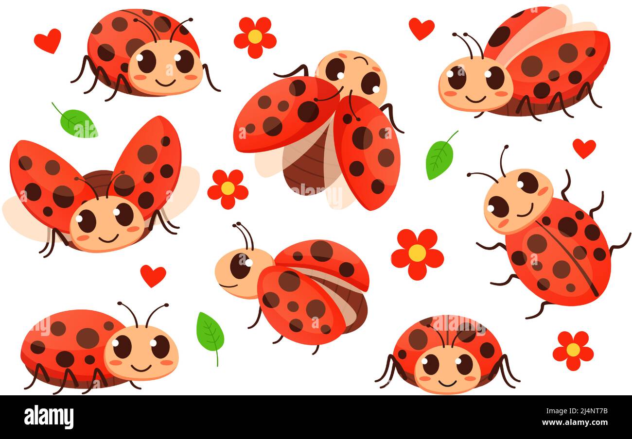 cute ladybug cartoon wallpaper