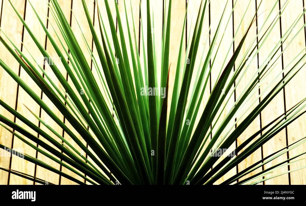 Street photography Brisbane queensland Australia Stock Photo Alamy