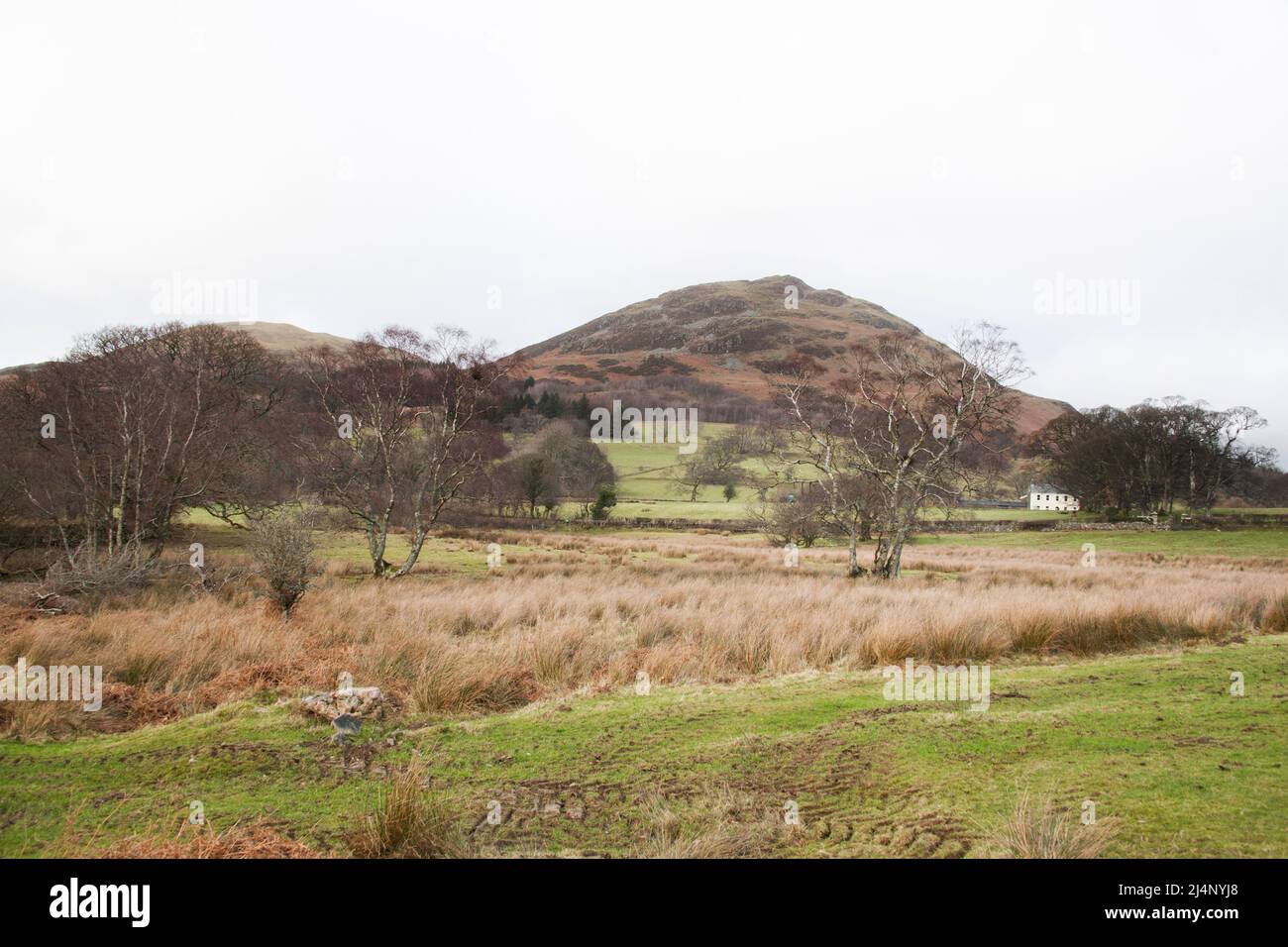 Views of Loweswater in The Lake District in Allerdale, Cumbria in the UK Stock Photo