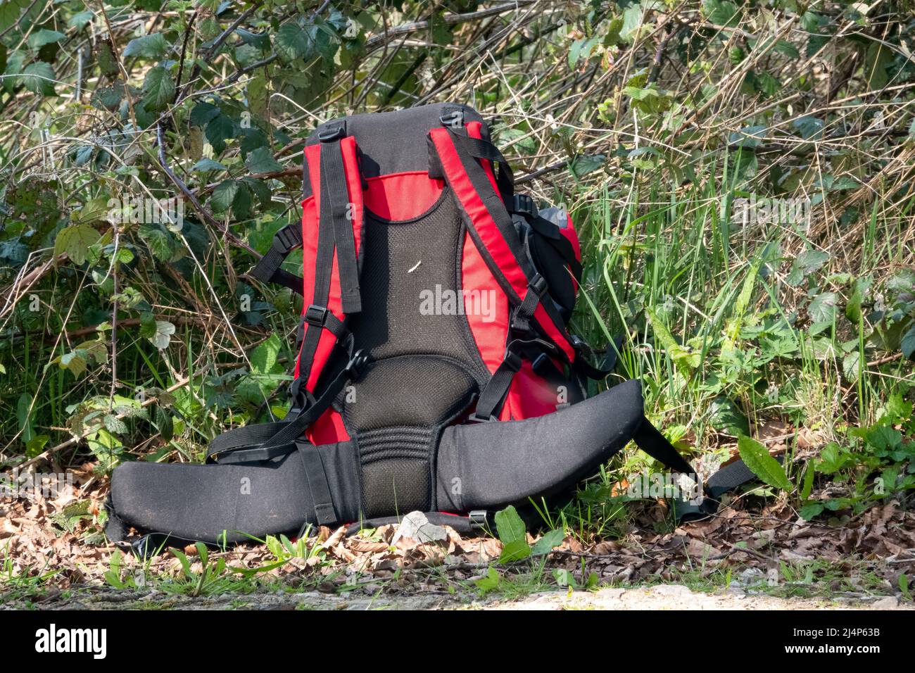 black and red ruck sack abandoned in countryside against grass and undergrowth background Stock Photo