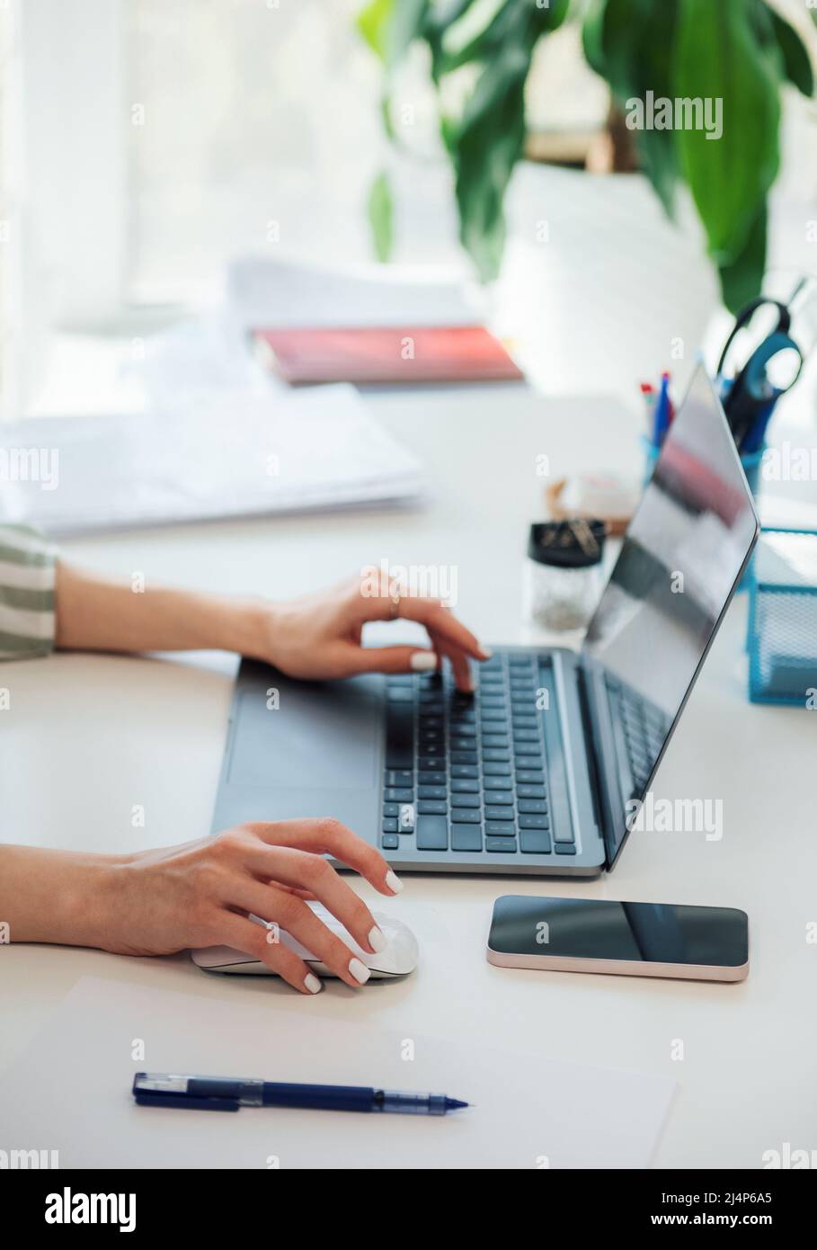 Young woman working on a computer in her office Stock Photo - Alamy