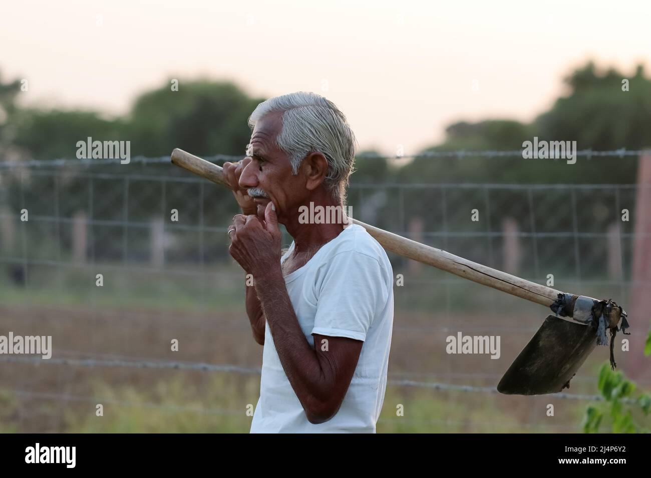 Close-up photo of indian aged Farmer holding a shovel in his hand and ...