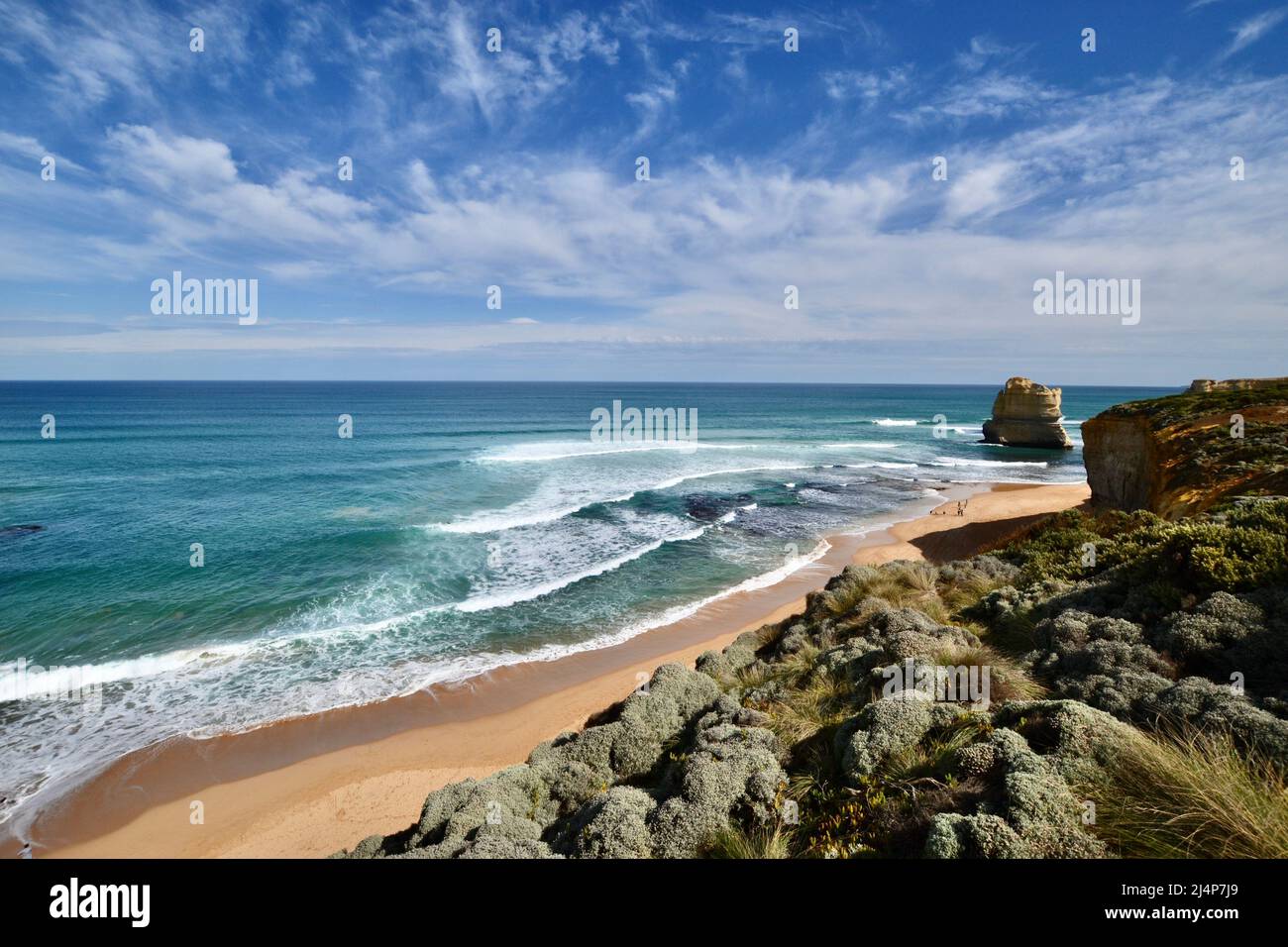 Panoramic view of the Victorian coastline in Australia on the Great Ocean Road showing wild surf and waves with pristine sandy beach and coastal scrub Stock Photo