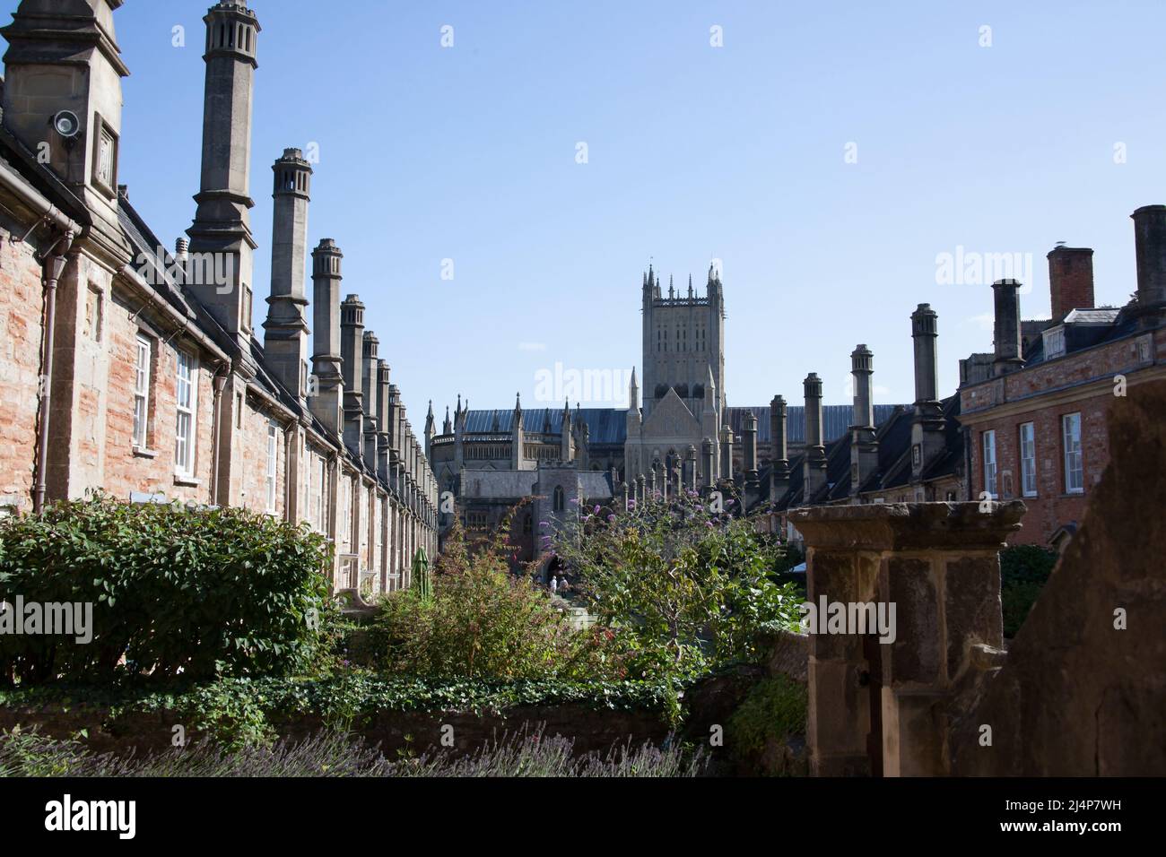 Houses on Vicar's Close and Wells Cathedral in Somerset in the UK Stock Photo
