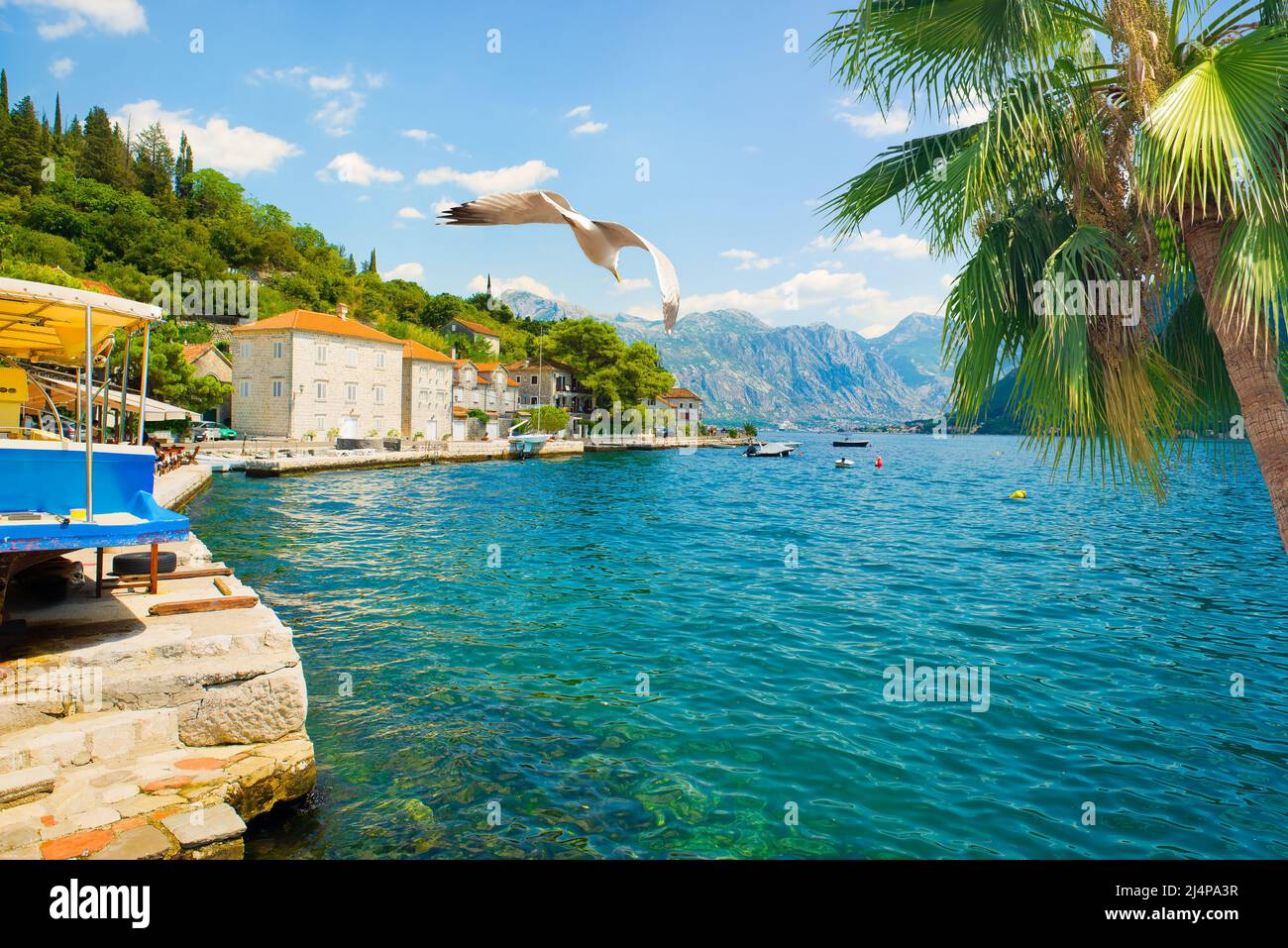 Historic city of Perast at Bay of Kotor in summer, Montenegro Stock Photo
