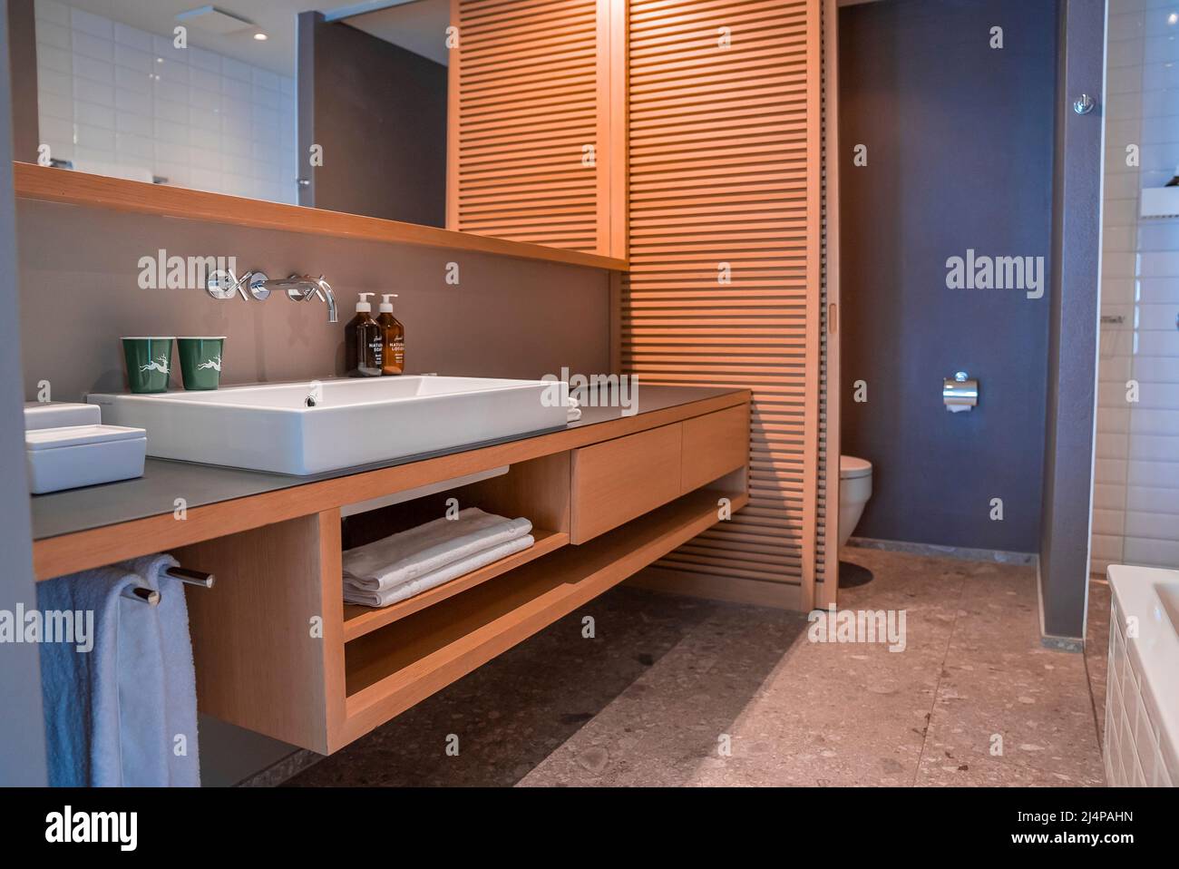 Interior of rustic style empty bathroom in luxurious ski resort Stock Photo