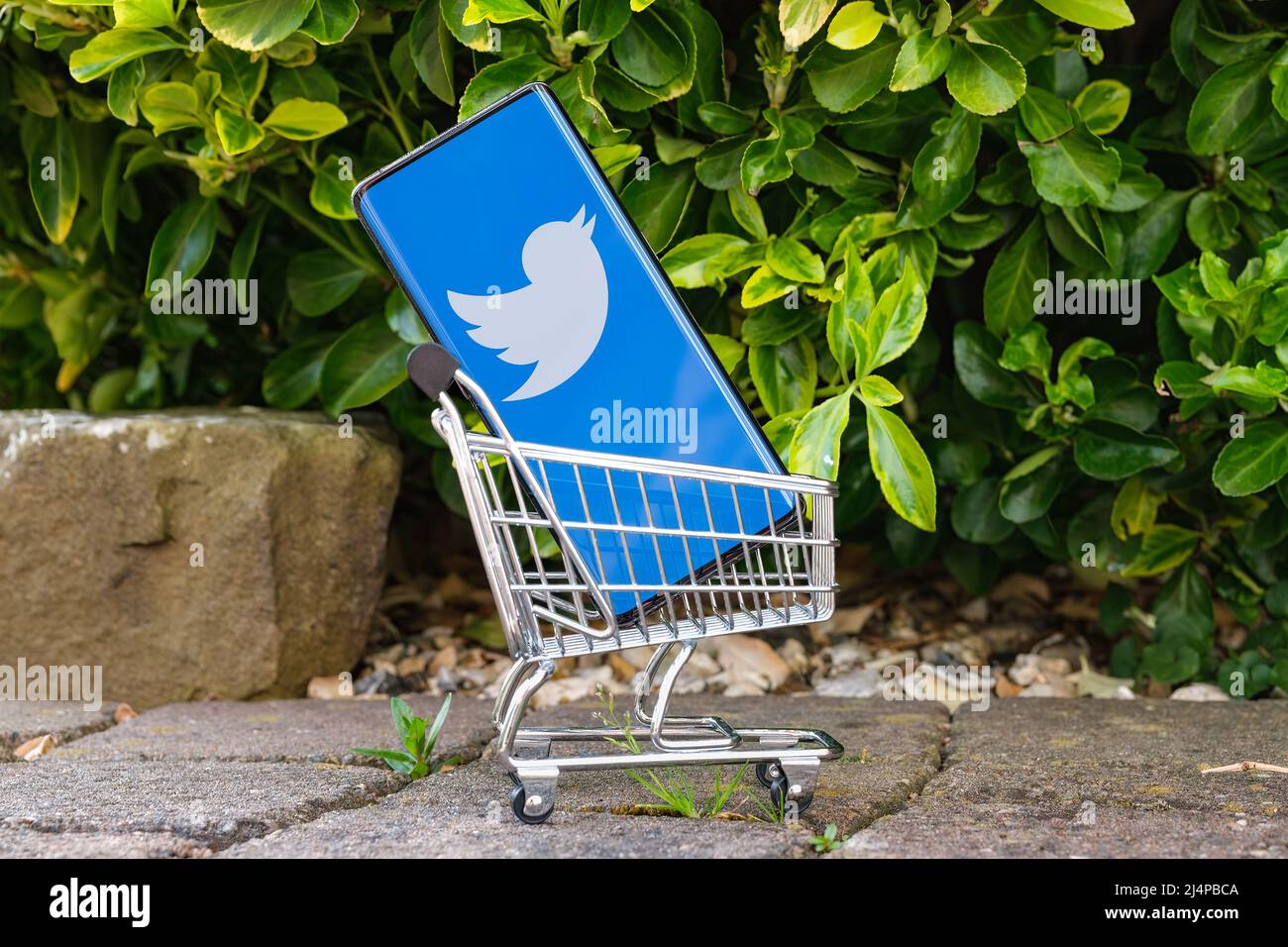 Smartphone with Twitter logo placed in a miniature shopping cart. Concept for company sale and Elon Musk stocks purchse. Stafford , United Kingdom, Ap Stock Photo