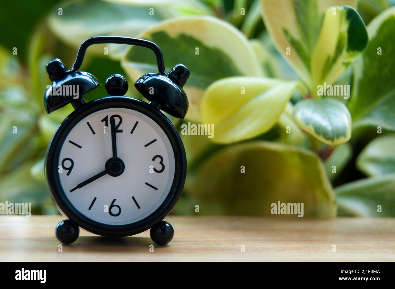Black alarm clock isolated on blurred nature background. The clock set at 8 o'clock. Copy space