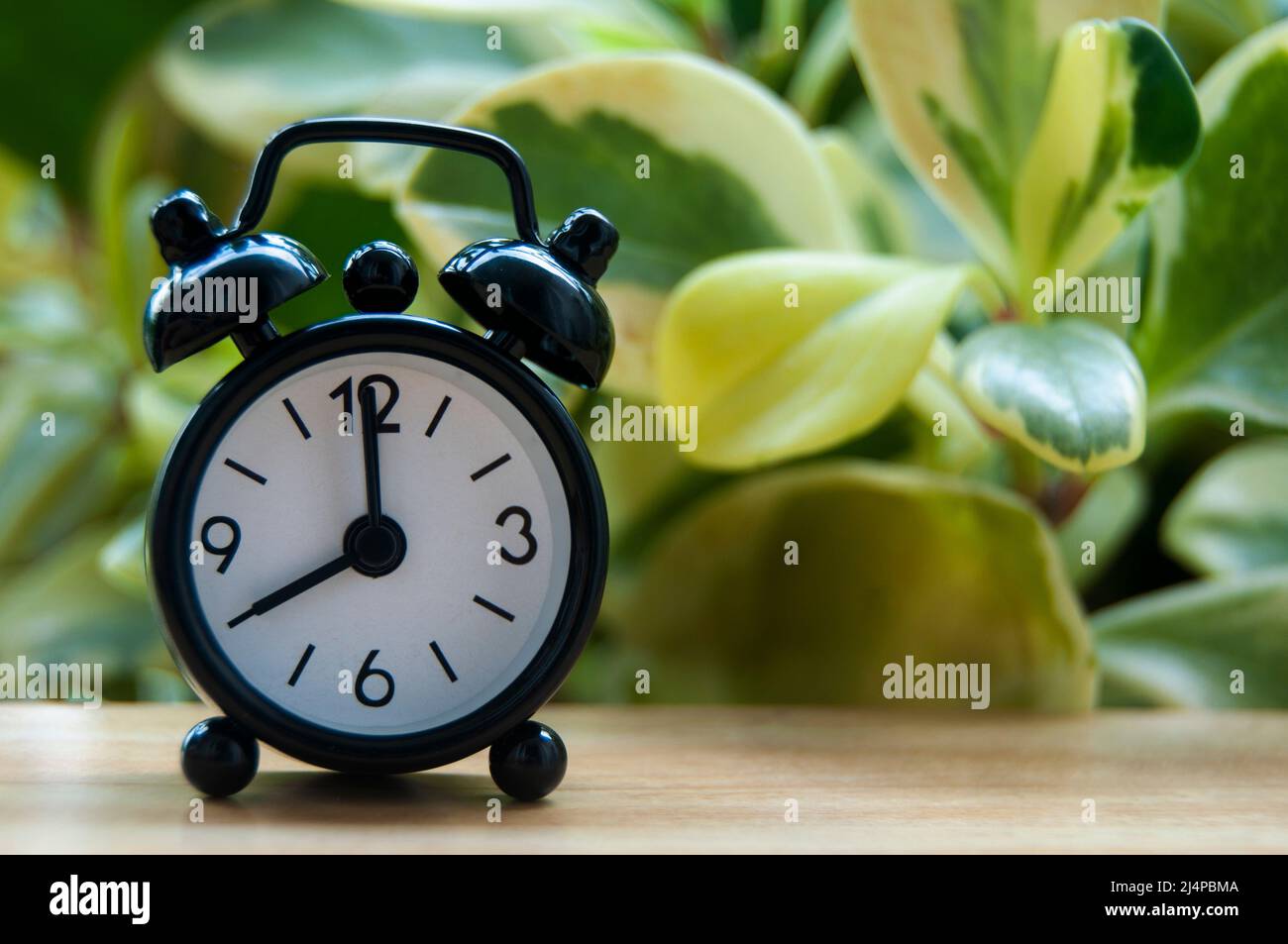 Black alarm clock isolated on blurred nature background. The clock set at 8  o'clock. Copy space Stock Photo - Alamy