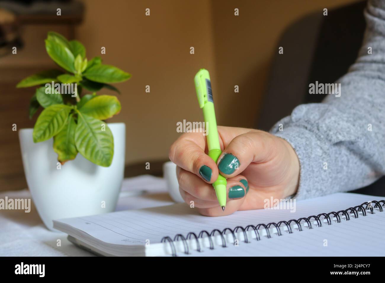 Girl hand holding pen writing hi-res stock photography and images - Alamy