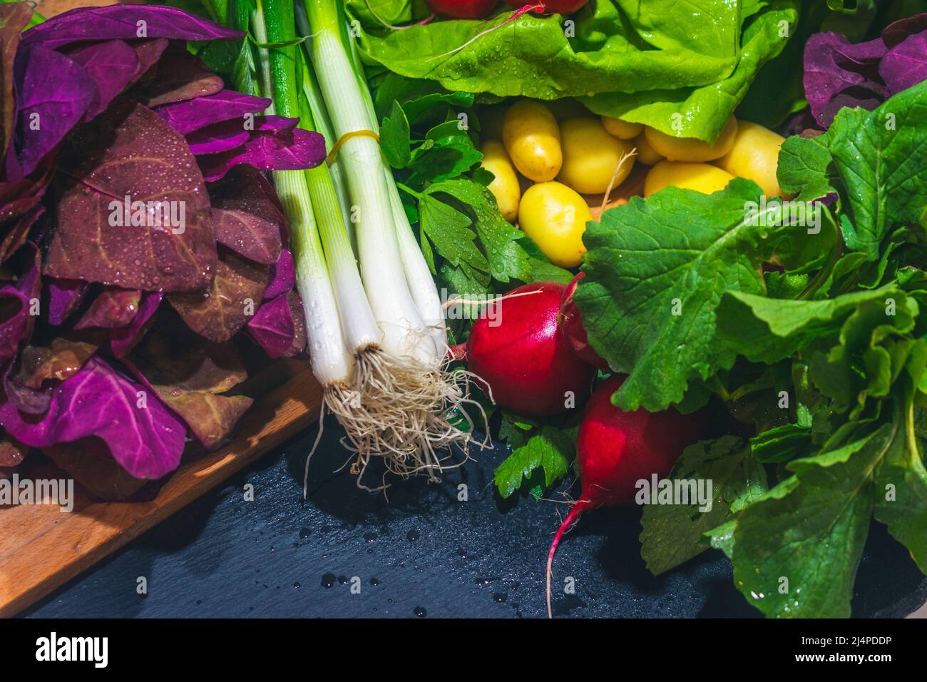 Fresh produce spring colors summer bio vegetables eco agriculture homegrown produce radishes. baby potatoes,  green salad, garden orache, fresh green Stock Photo