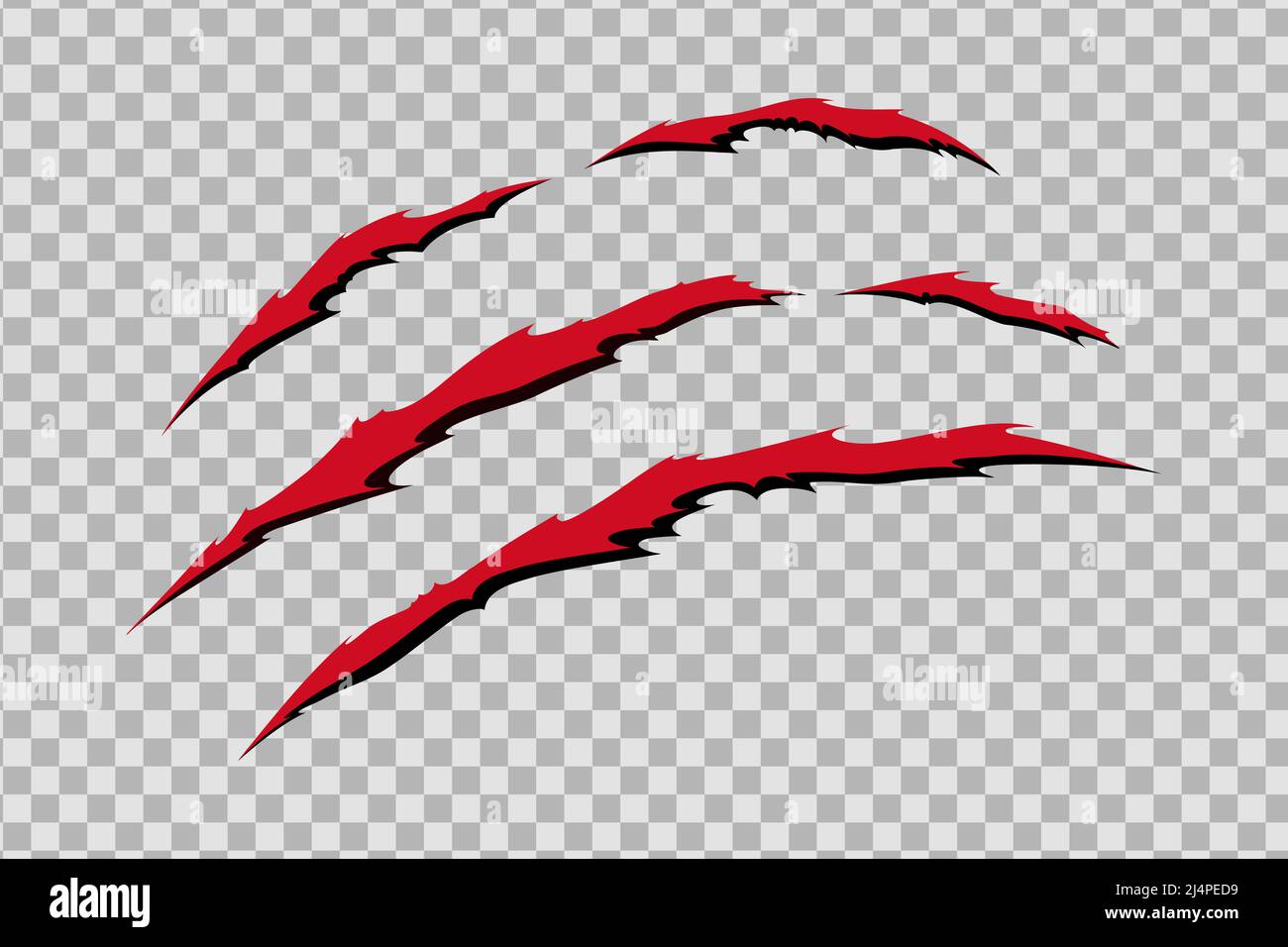 Claw scratches of wild animal. Cat scratches marks with blood isolated