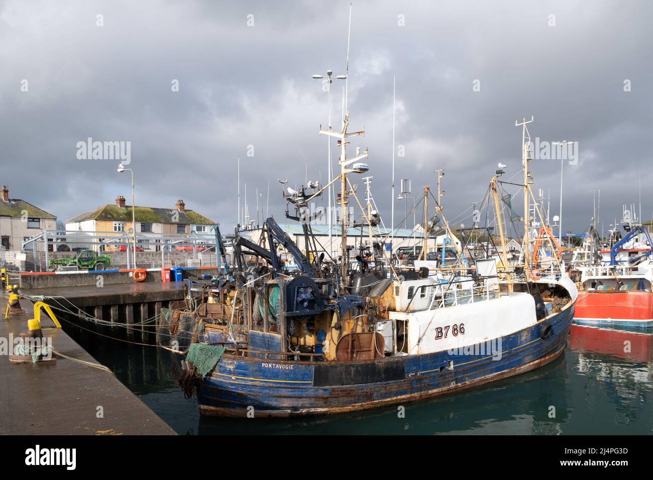 Blue and white fishing boat at Portavogie Harbour in Co. Down, Northern Ireland. Stock Photo