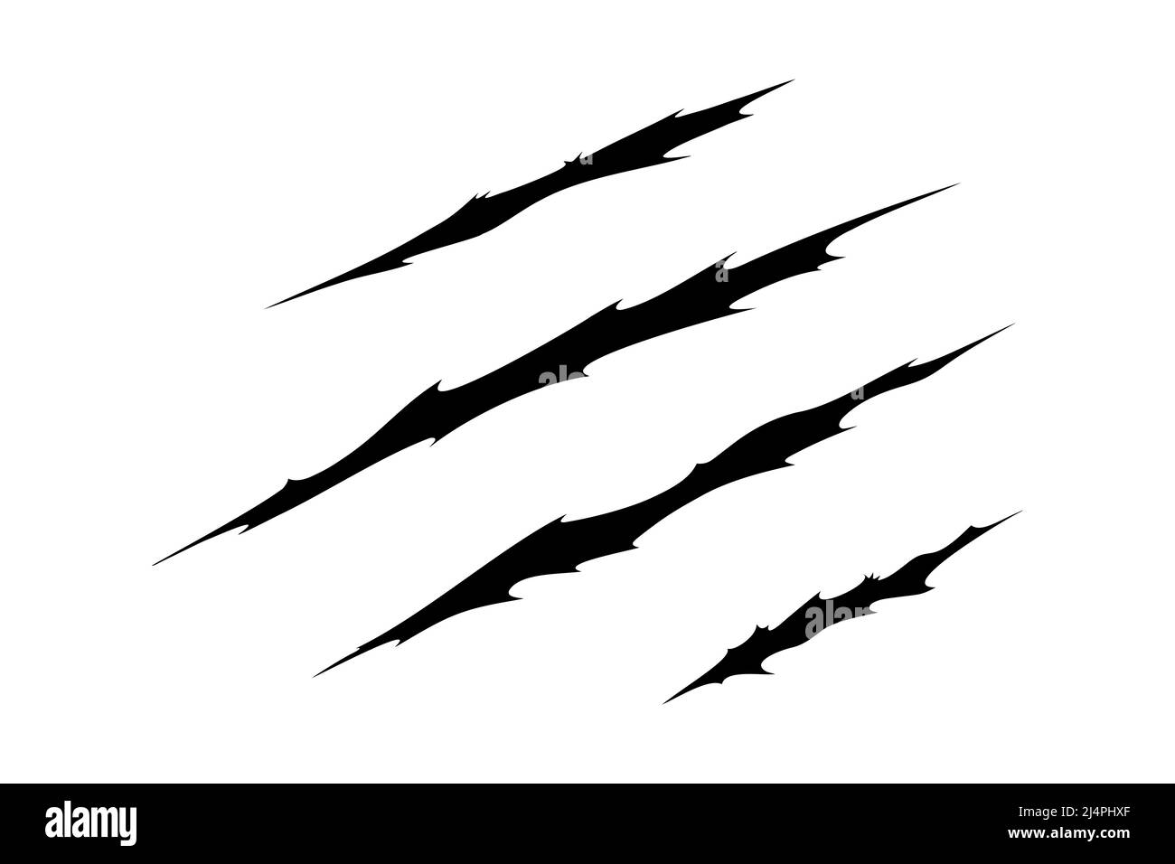 Claw scratches of wild animal. Cat scratches marks isolated in white