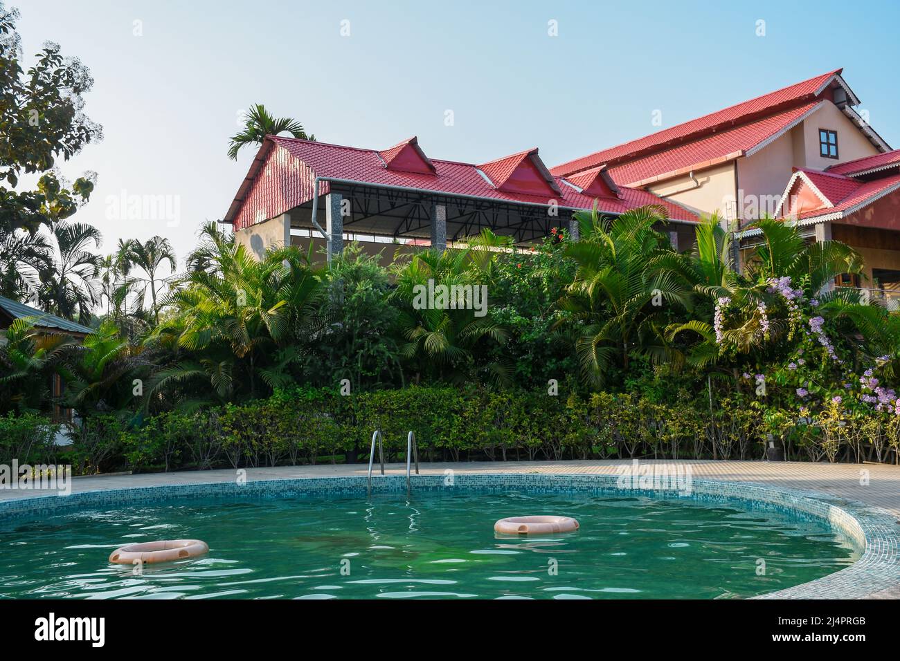 Green and clear water swimming pool with lush greenery, Resort of