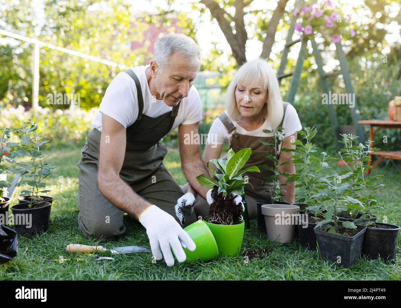 Family hobby concept. Happy senior spouses potting plants in garden, sitting on courtyard