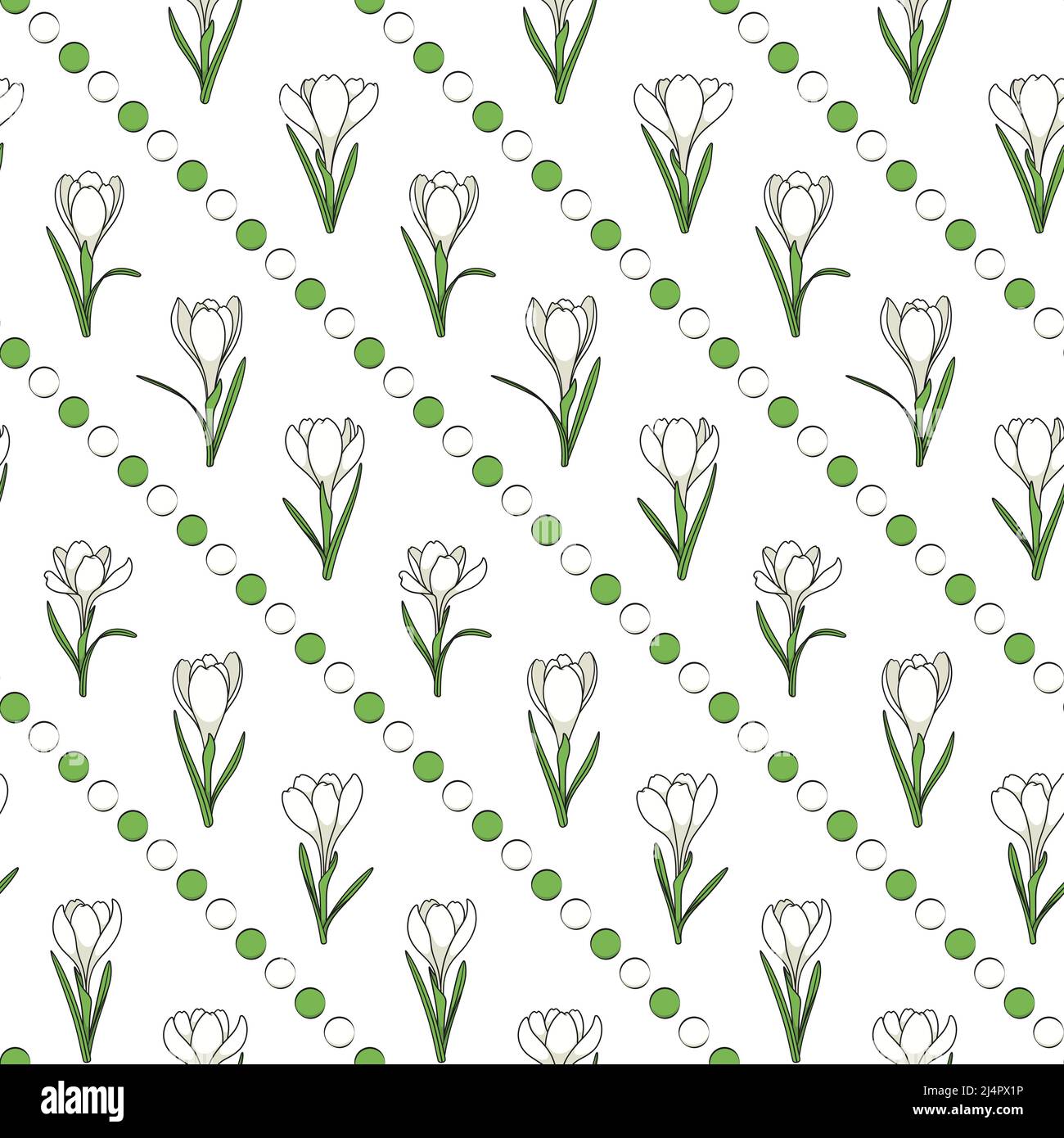 Seamless pattern with white crocus flowers, saffron. Vector background. Stock Vector